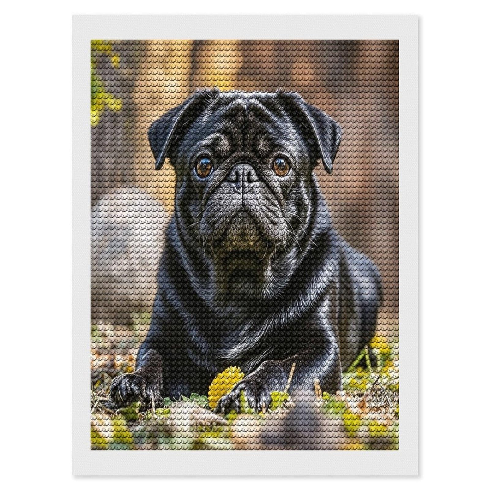FekiLoot Cute Black Pug Dog Diamond Art Kits for Adults Diamond Painting Kits for Beginners DIY Diamond Art Kits Round Full Drill Diamond Dot Gem Painting for Home Wall Decor Gift 12"x16"