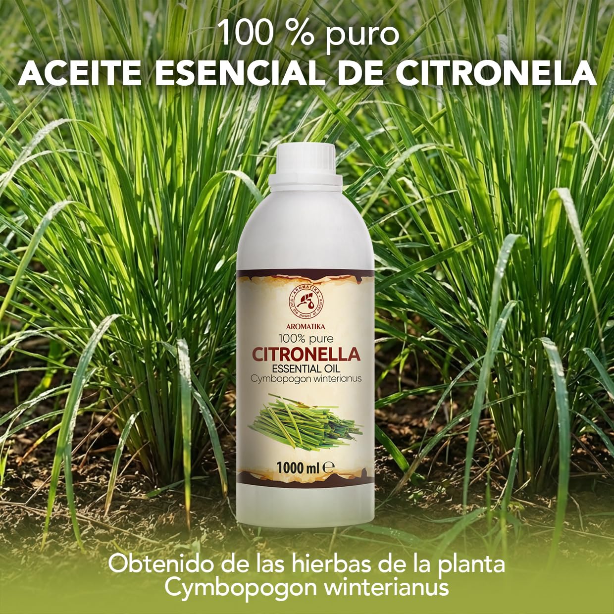 Aceite Esencial de Citronela 1000 ml - Cymbopogon Winterianus - Natural y Puro - Aceites Esenciales para Difusores - Fragancias para el Hogar - Jabones y Velas - Sauna - Aroma fresco - Aromaterapia