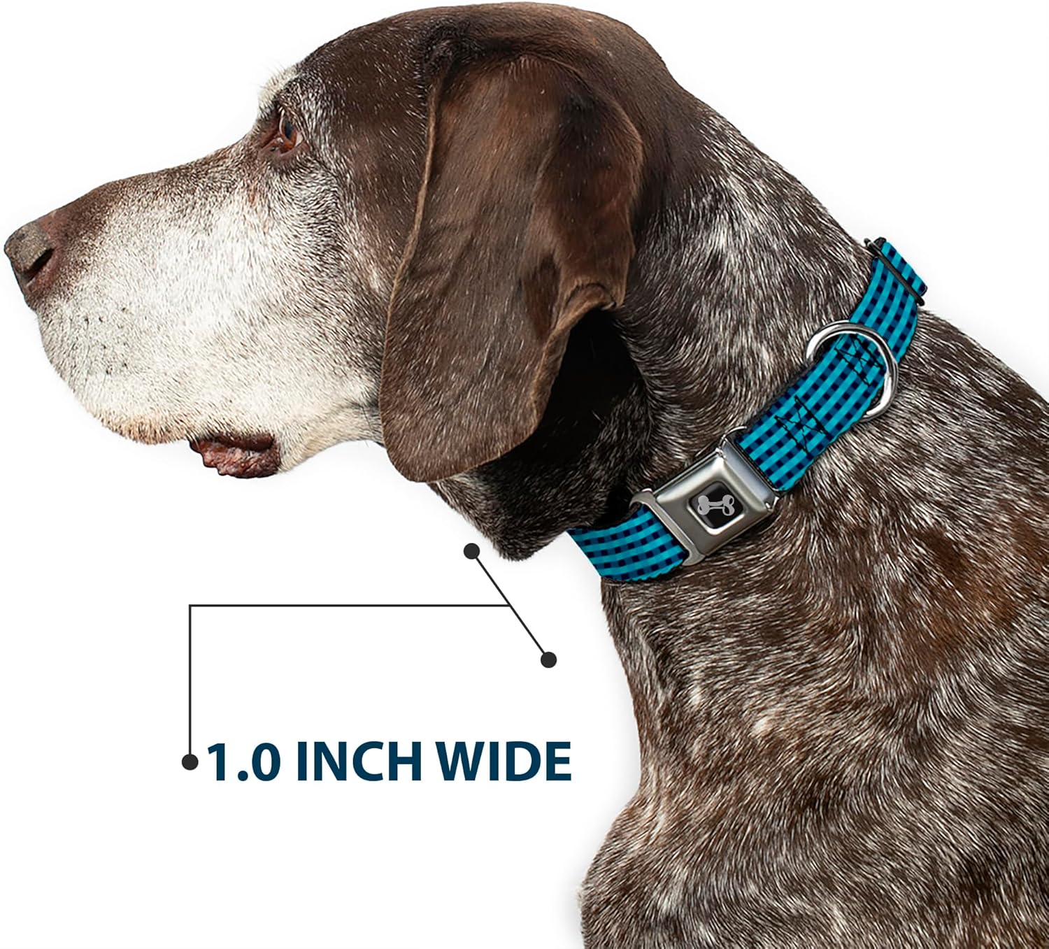 Buckle-Down Seatbelt Buckle Dog Collar - Mini Buffalo Plaid Navy/Blue - 1.5" Wide - Fits 16-23" Neck - Medium