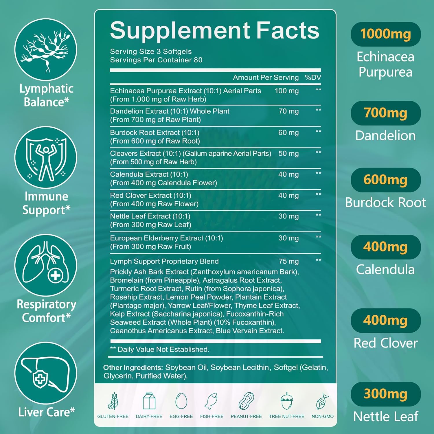 Lymphatic Drainage Supplements (240 Softgels), Plant-Based Blend with Echinacea, Dandelion & Burdock Root, Fluid Balance & Immune Health, Lymph System Support Supplement for Women & Men