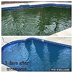 Review Image by Linda Ocampo Linda Ocampo