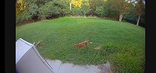 Review Image by Cleo Cleo