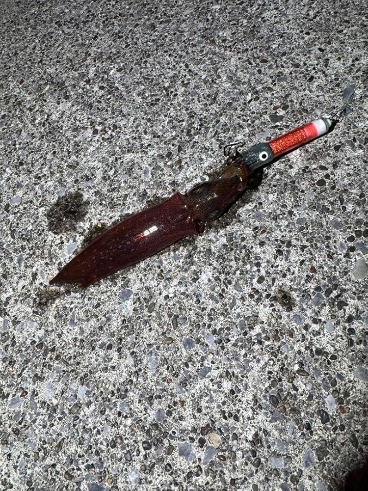 Amazon.co.jp: アングラーズフラワー グロー 3個 8本針 イカ釣り