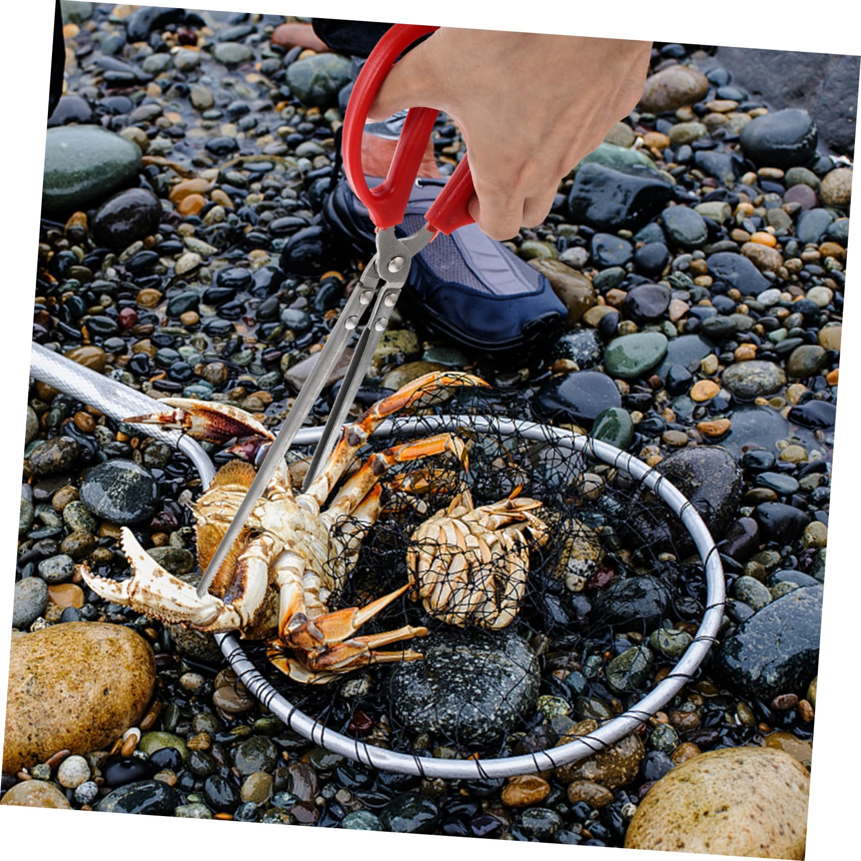 Pince De Préhension Pliable Scoolr - Lot De 2 - Outil De Préhension Ergonomique Et Léger - Pour