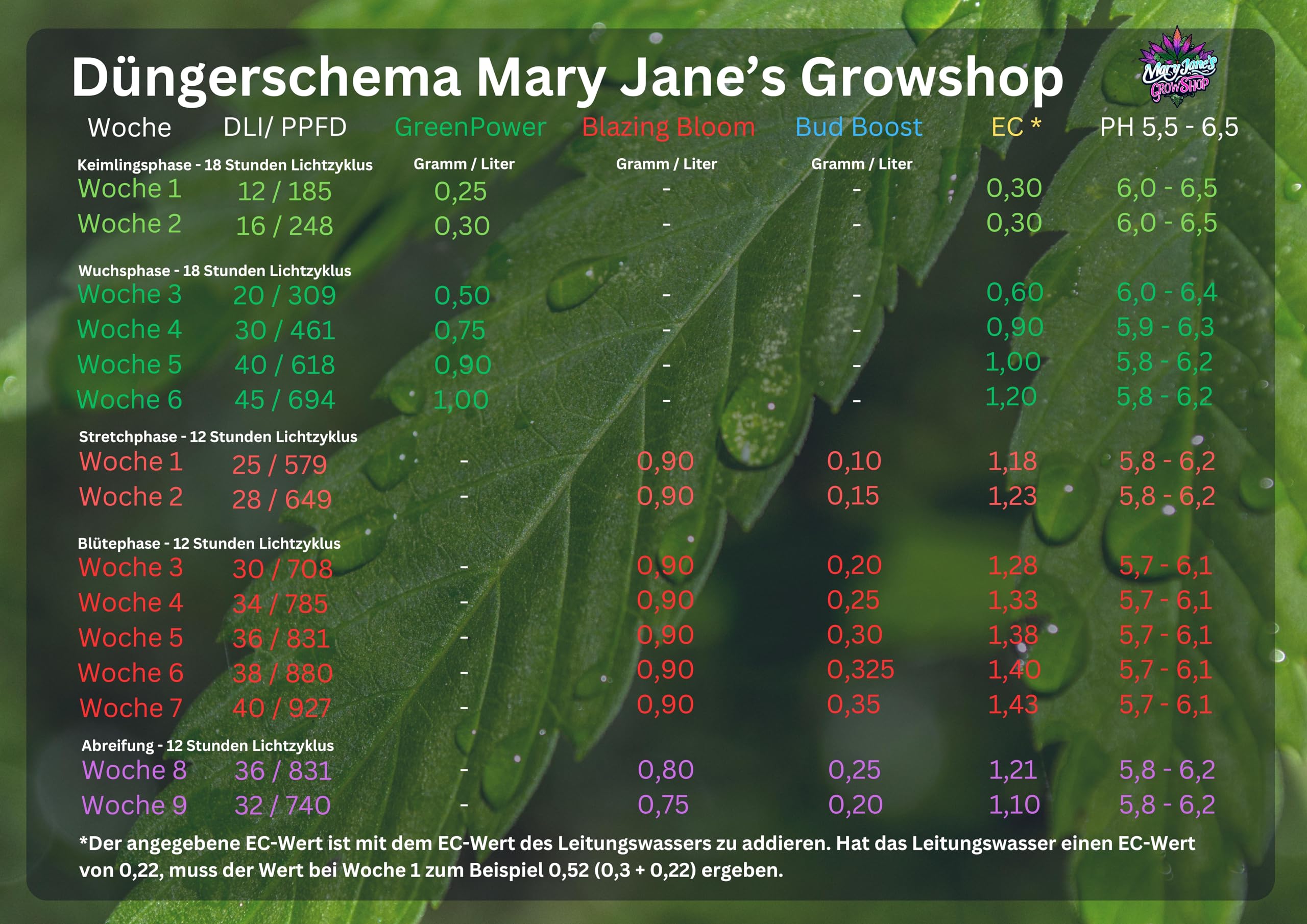 Mary Jane's Dünger-Bundle für Cannabispflanzen Hanfplanzen, Wachstums- und Blütedünger Set mit Bud Boost, 2x500g Dünger + 200g Boost, für Wuchs- und Blütephase für alle Substrate und Hydro Grow