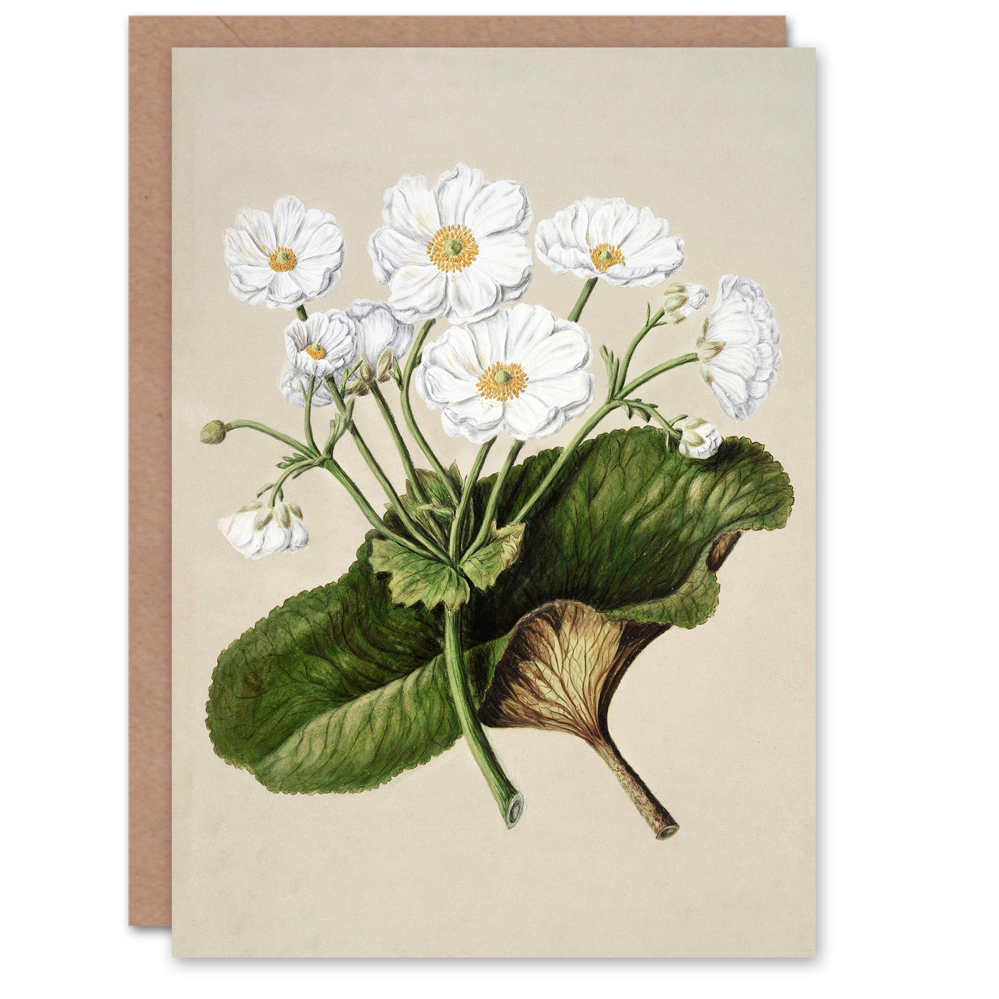 Artery8 Sarah Featon Art Card New Zealand Mountain Lily Flowers