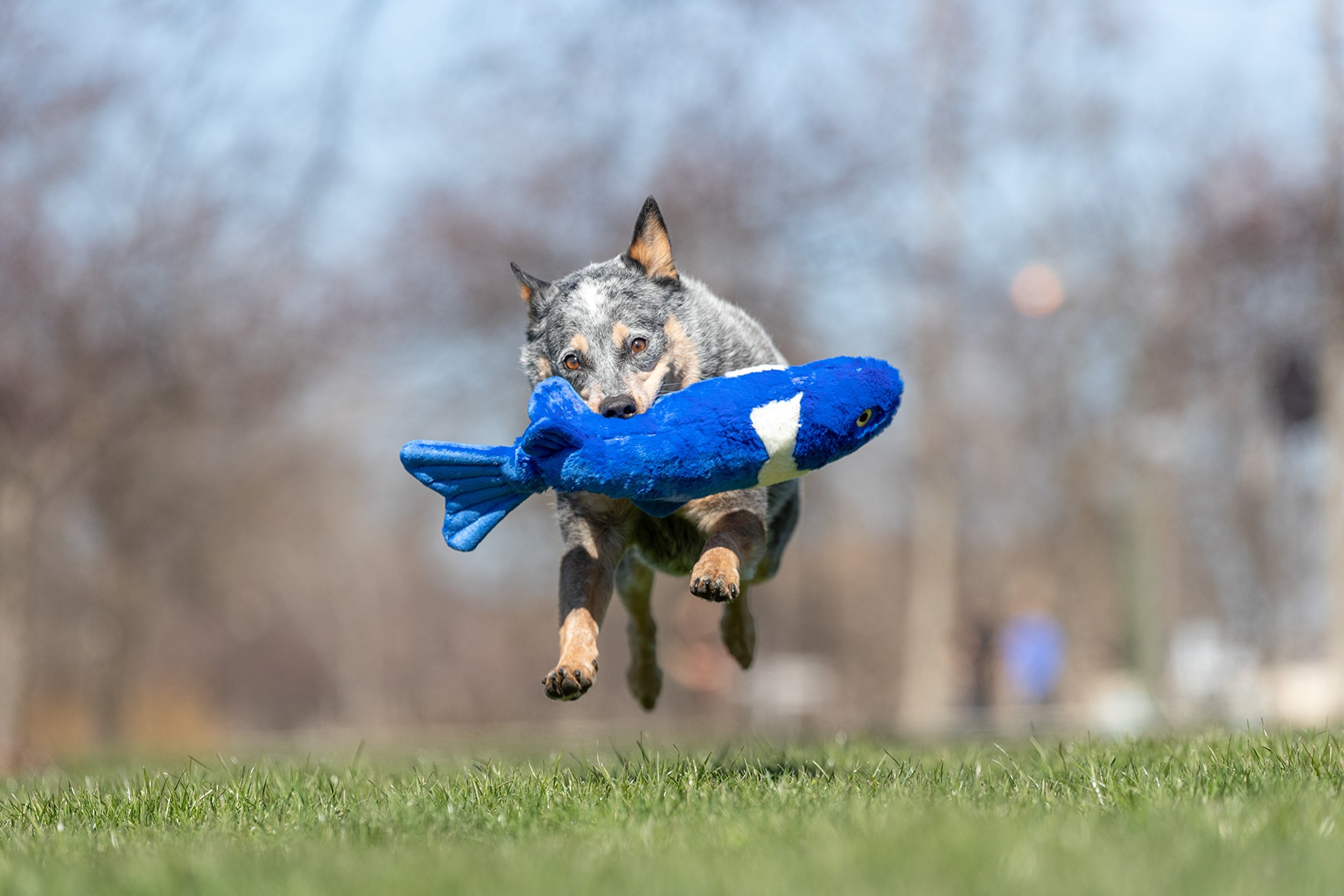 Fluff & Tuff, Gil Koi Jouet en Peluche Durable pour Chien Taille XL