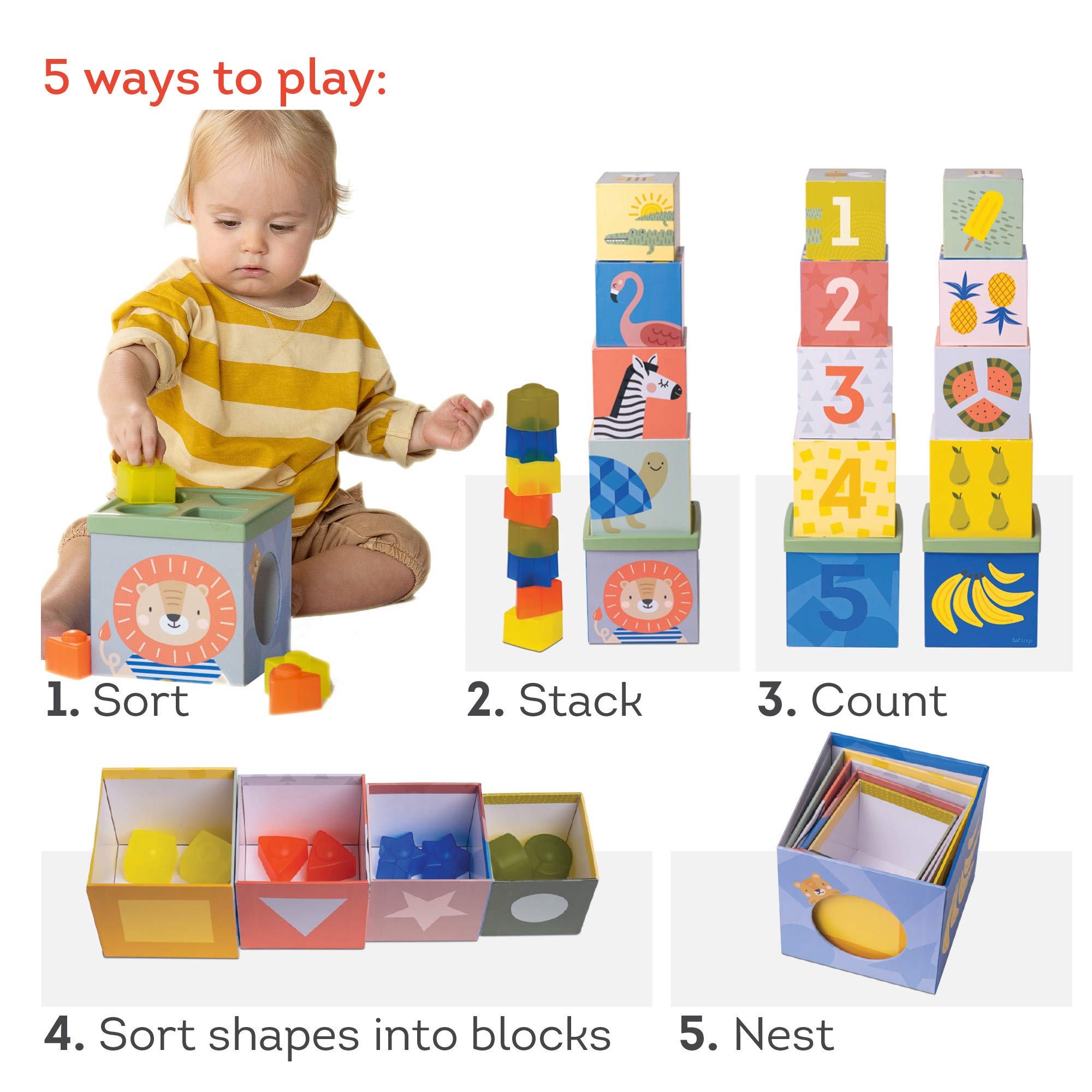 Taf Toys 12725 - Scatola delle Forme Savana