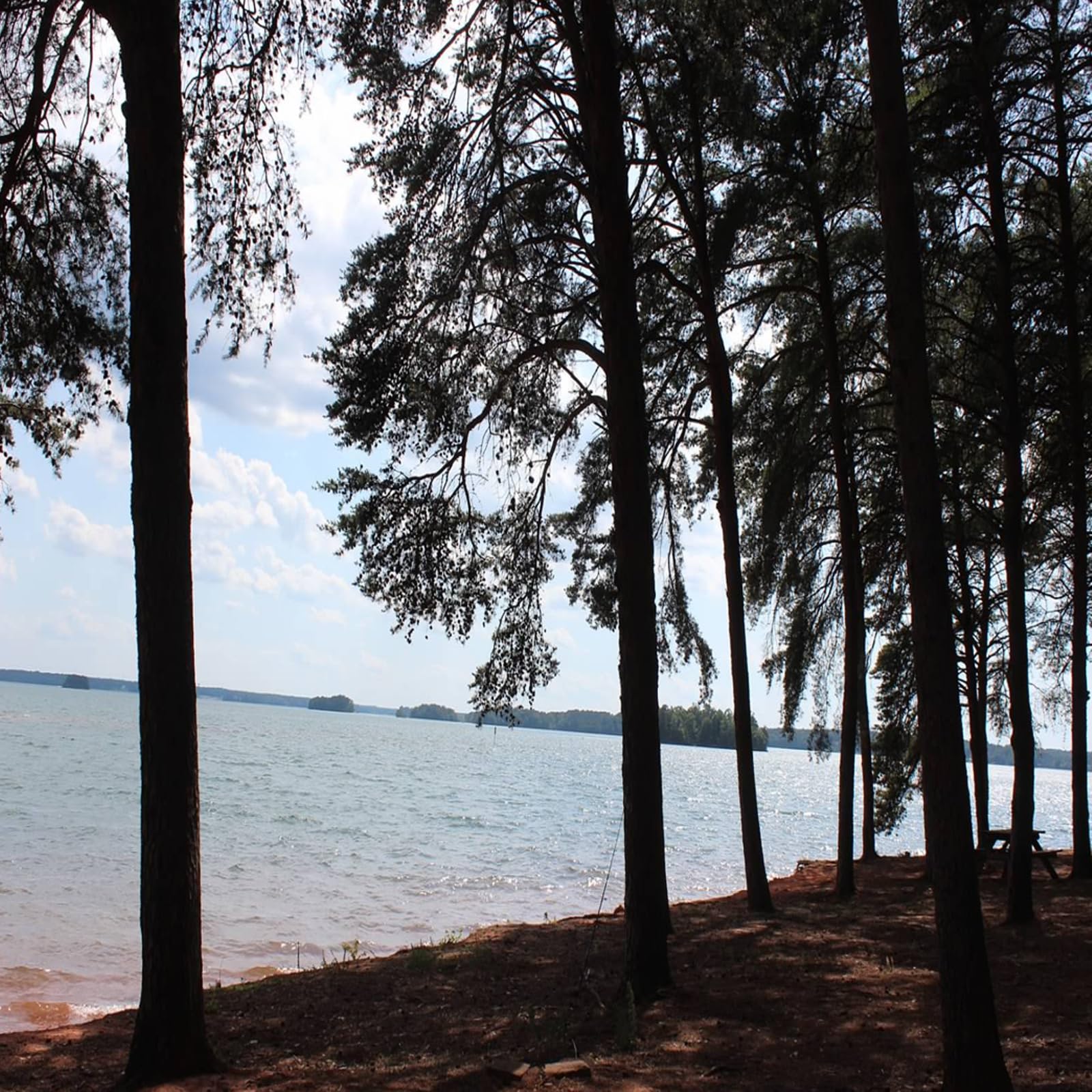 Anthony's Vacuum Cleaner White Noise