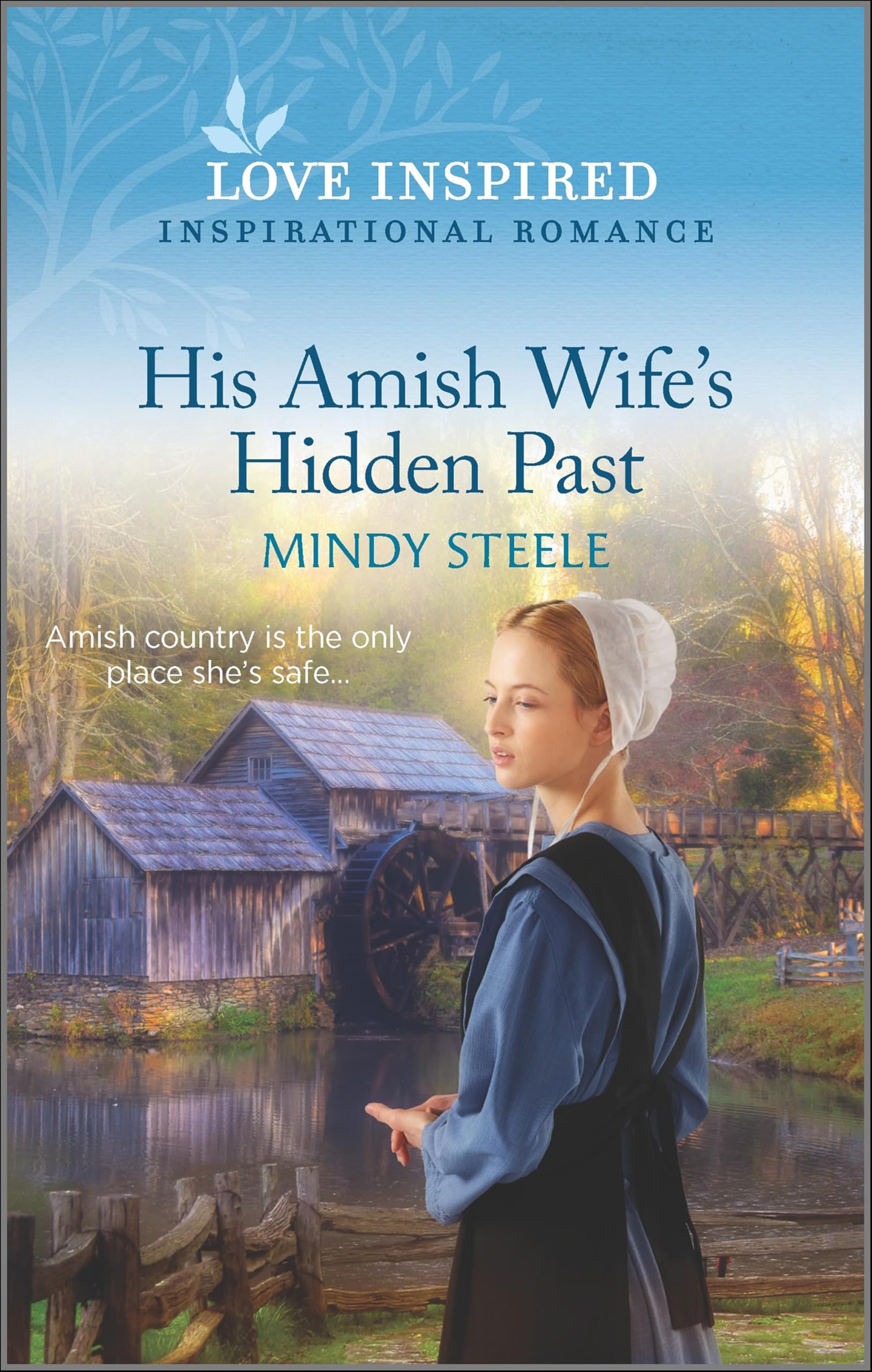 Buy His Amish Wife's Hidden Past: An Uplifting Inspirational Romance (Love Inspired) — BookShops.in