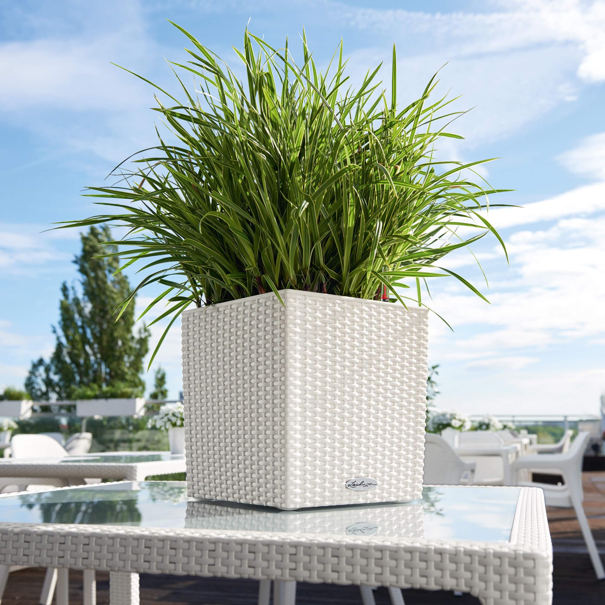 LECHUZA CUBE Cottage 30 bianco 15376