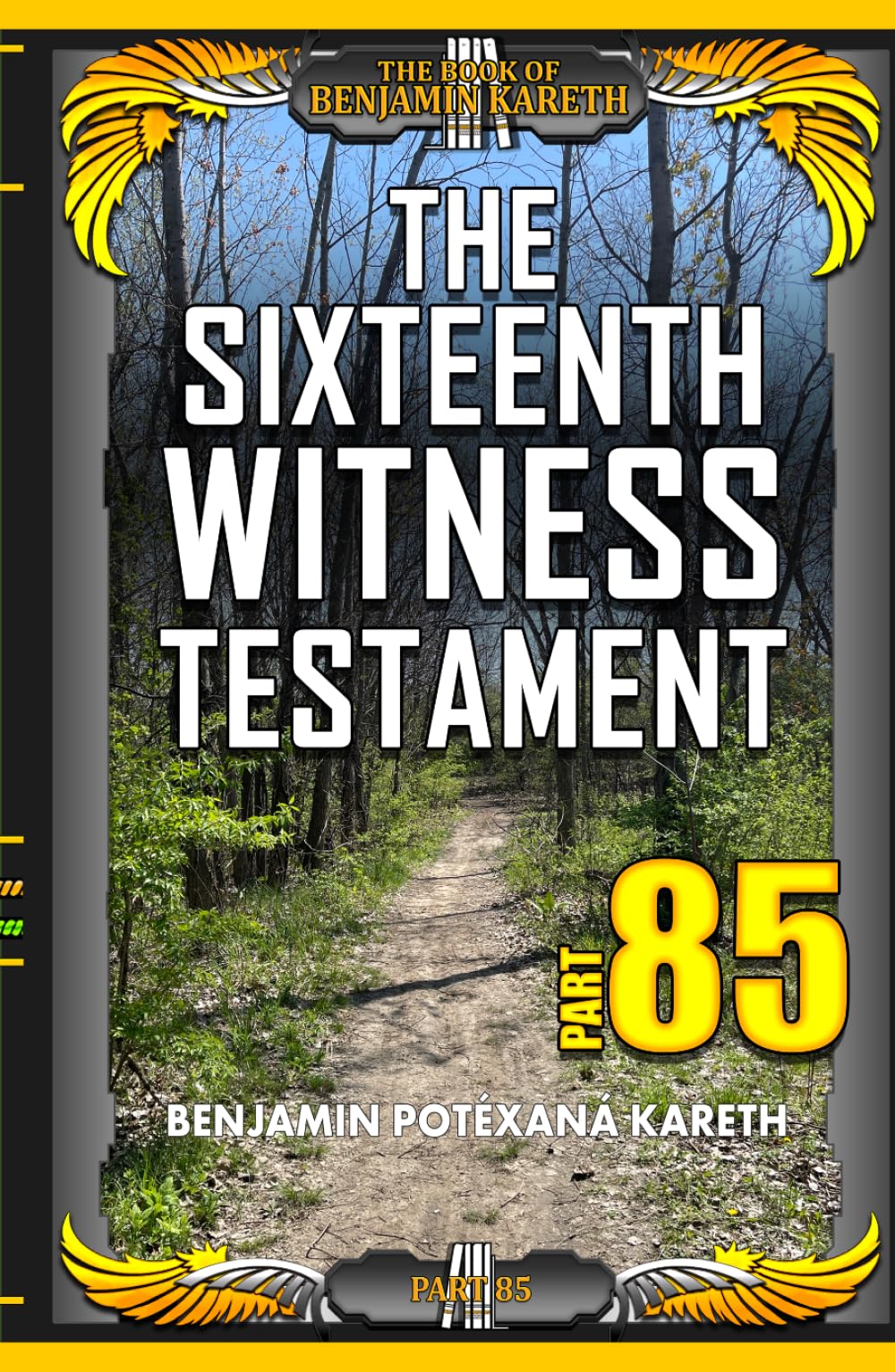 The Sixteenth Witness Testament (The Book Of Benjamin Kareth)