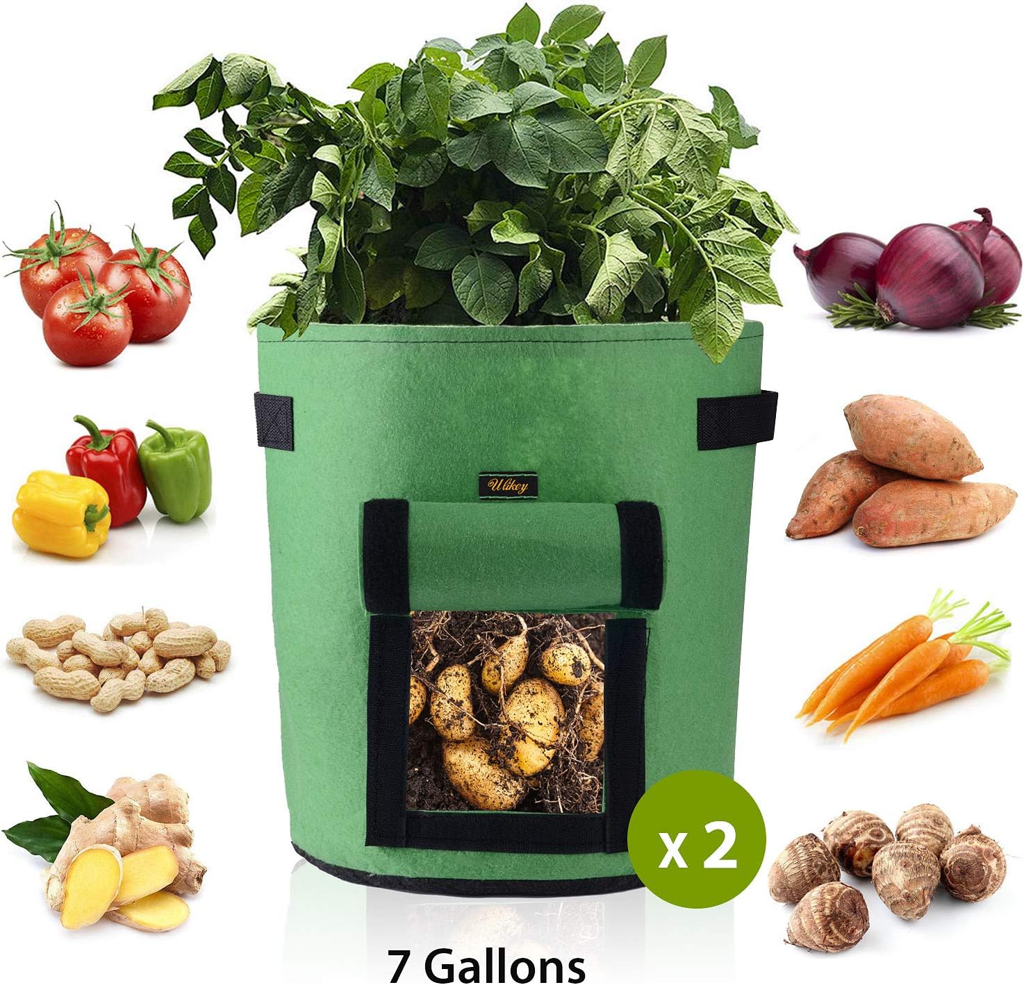 sacchetto per patate