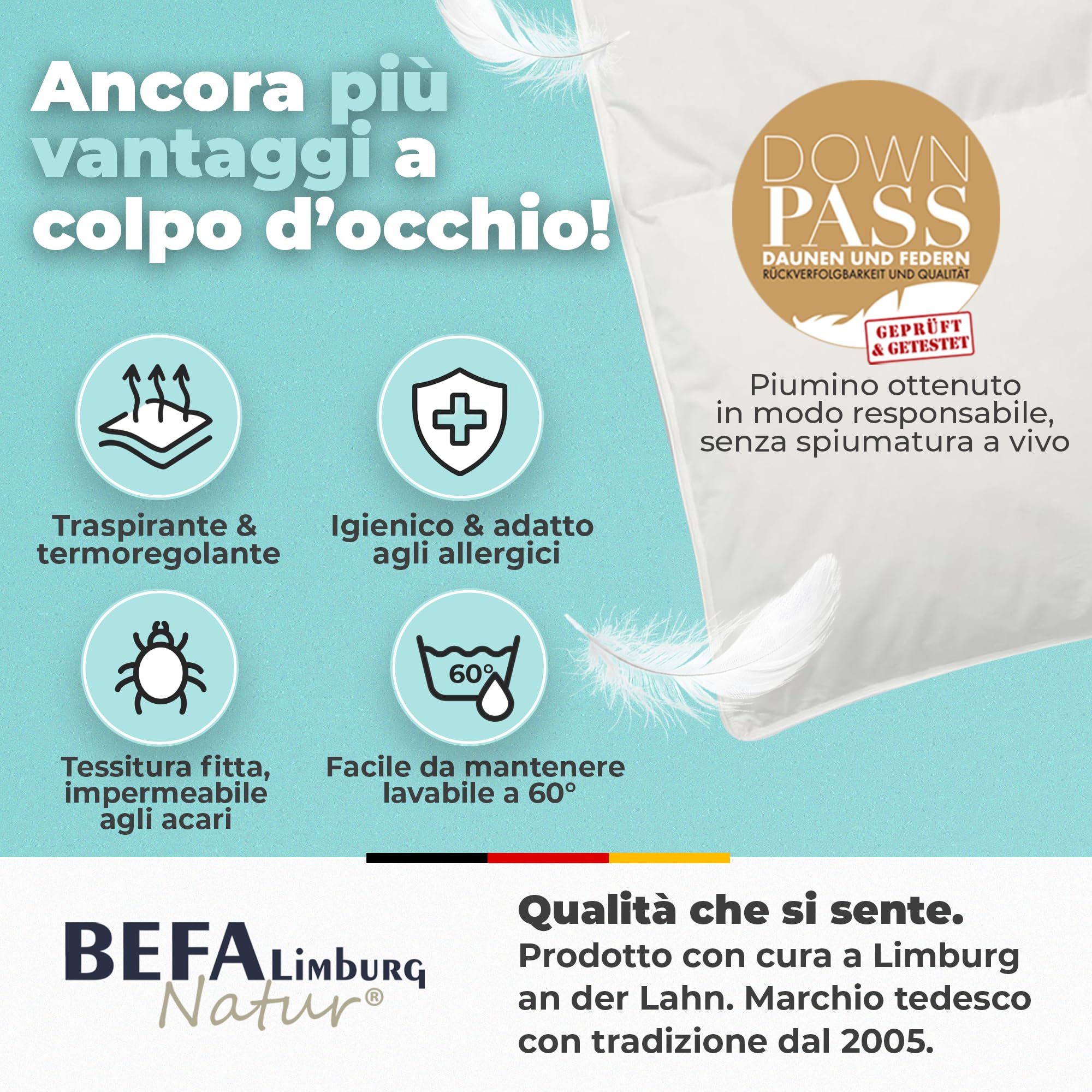 BEFA NATUR Couette en Pur Duvet Toutes (1, Piumino invernale, 155x220 cm)