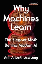Why Machines Learn: The Elegant Math Behind Modern AI