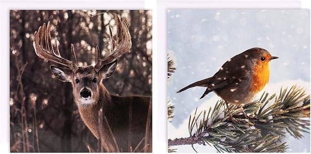 Hallmark Charity Christmas Card Pack - 10 Cards in 2 Photographic Gallery Collection Designs