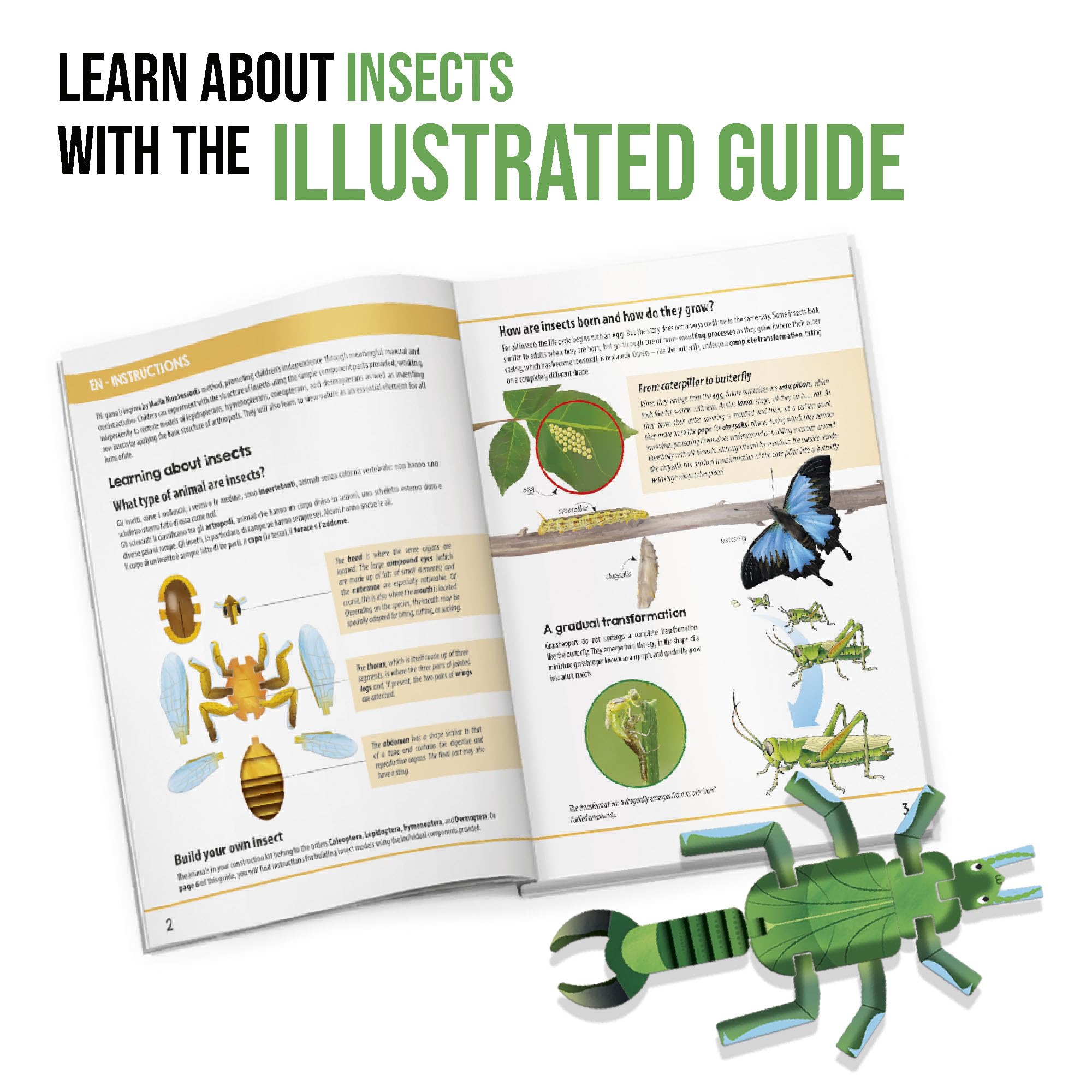 HEADU - Insect Builder NEW - Gioca e Scopri Come Sono Fatti gli Insetti | Giochi Educativi Bambini 5 6 7 8 Anni, Idea Regalo Bambino 6 anni, Regalo Compleanno Natale Scuola STEM, Made In Italy