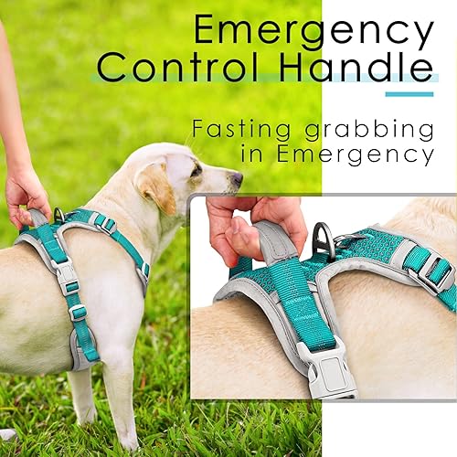 Miniatura 4 de ThinkPet Arnés deportivo transpirable, antitirones para perro, con asa, arnés reflectante y ajustable para perros medianos o grandes, clip trasero y