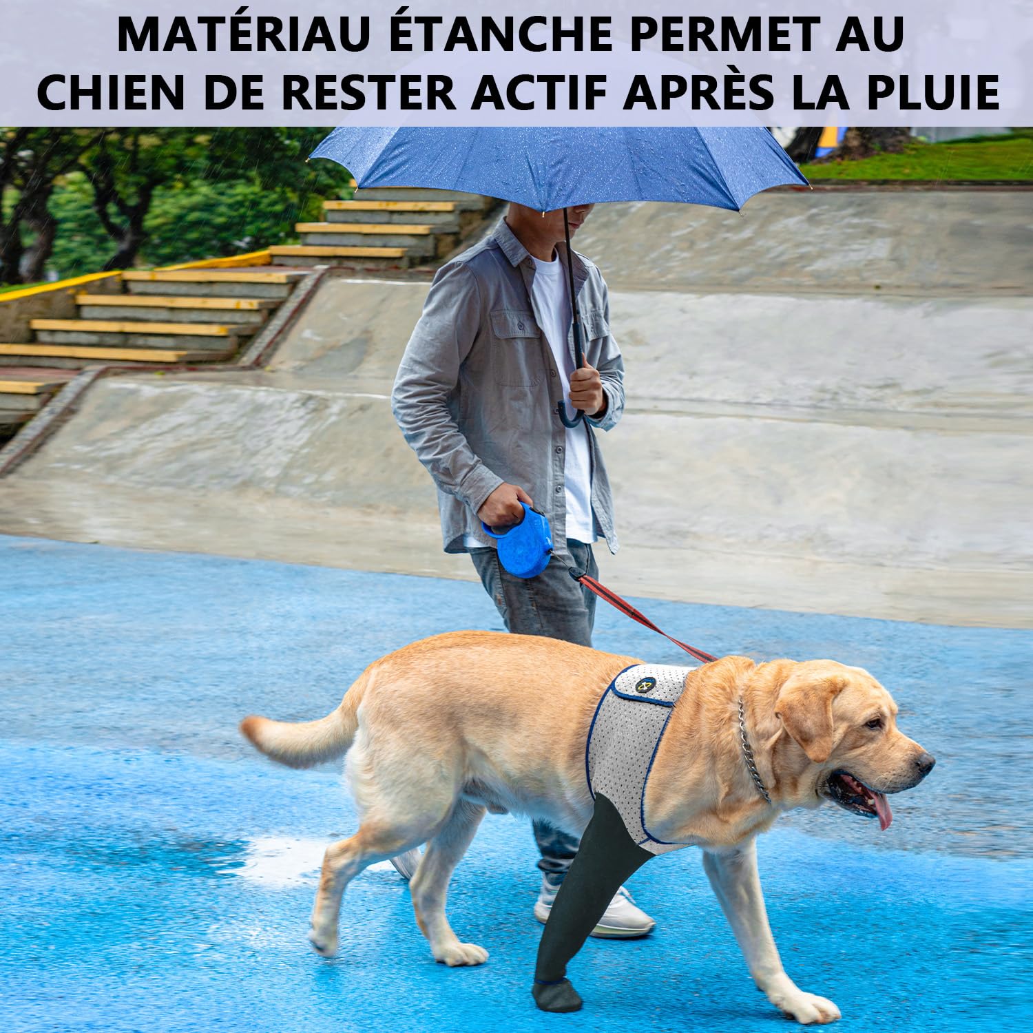 COODEO Chaussettes pour Chien, Bottes de Soin & protecteurs de Pattes Anti-dérapants, Chaussures étanches pour empêcher Le léchage (Gris, 3XL_Gauche)