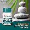 Himalaya Herbals Cystone Herbal Food Supplement Helps Ensure Normal Functioning of Urinary Tract for Urinary Health | Active Herbs Bring Comfort, 100 Capsules