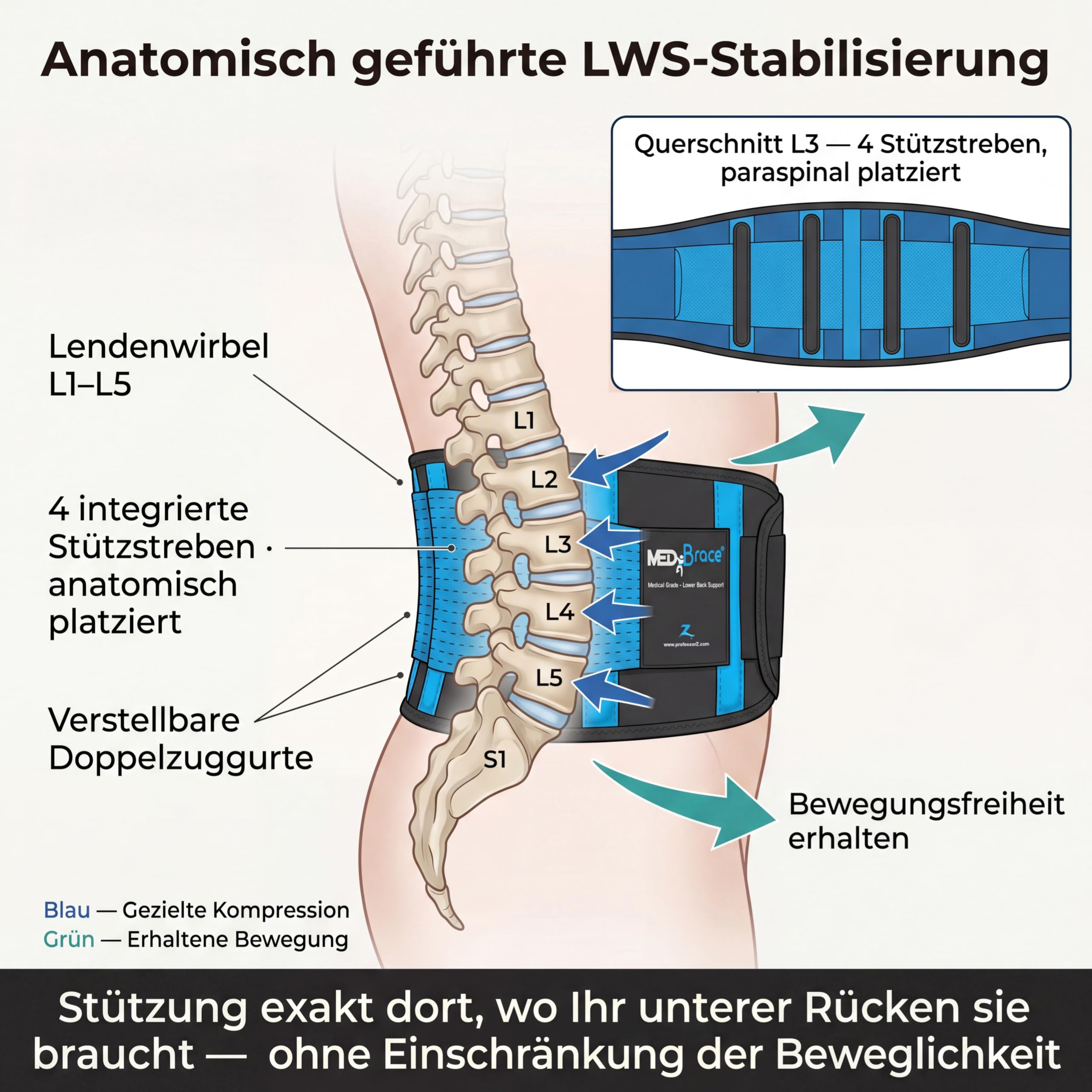 MEDiBrace Rückenstützgürtel Rückenbandage Lendenwirbelstütze für Unteren Rücken mit Stützstreben & Doppelzuggurten – Schmerzlinderung bei Ischias Bandscheibenvorfall Skoliose Herren Damen