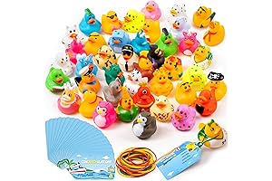 H1vojoxo Cruise Ducks for Ducking Cruise Ship