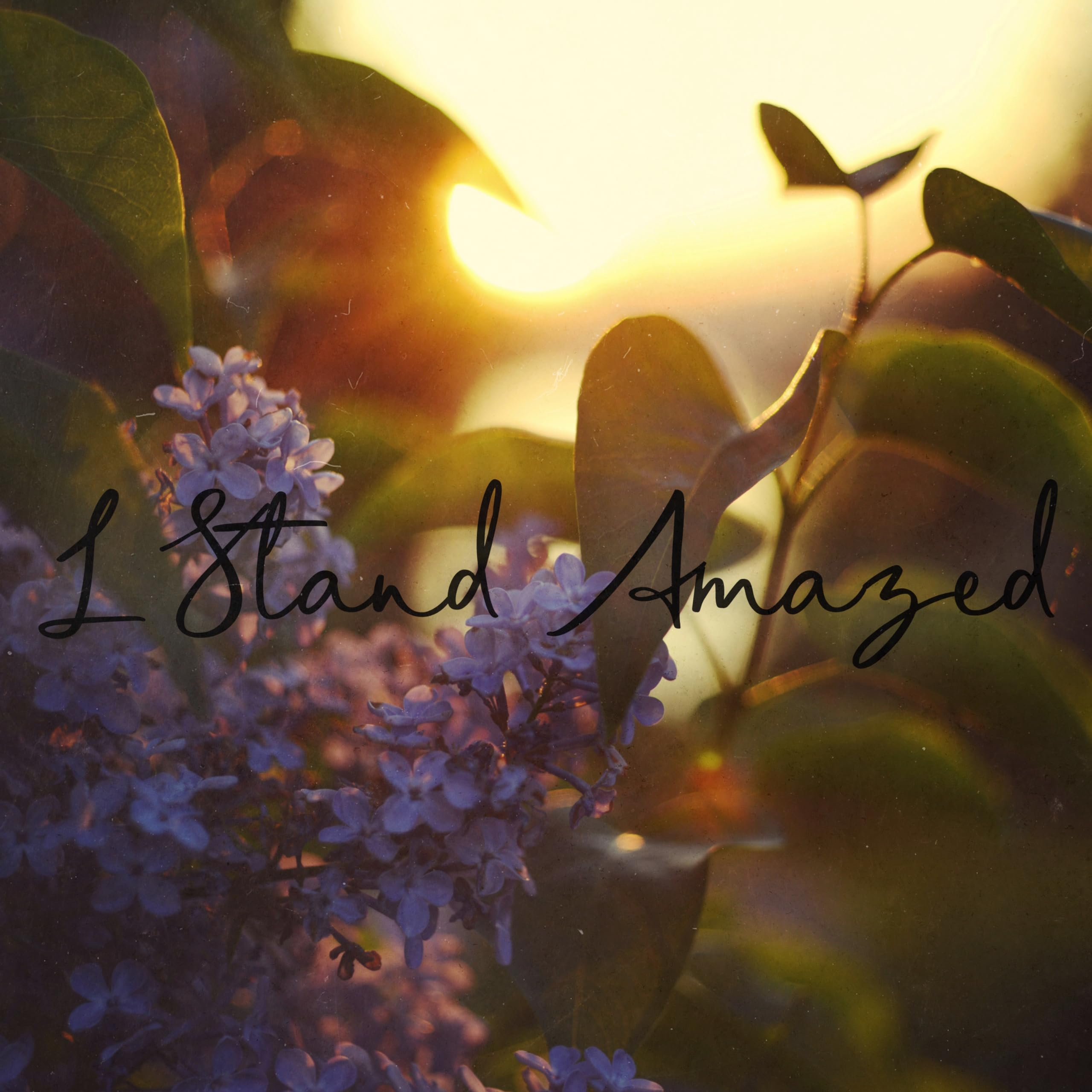 Hillsong Instrumentals 