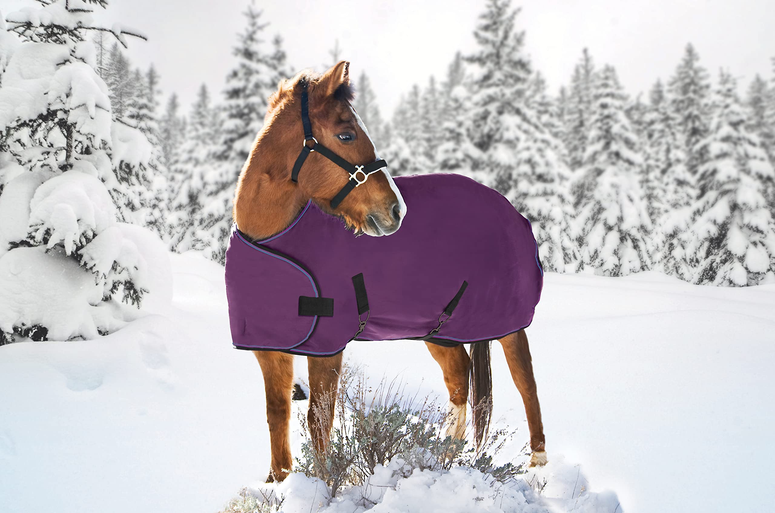 Kensington All Around Signature Adjustable Yearling Turnout Blanket, 60-68