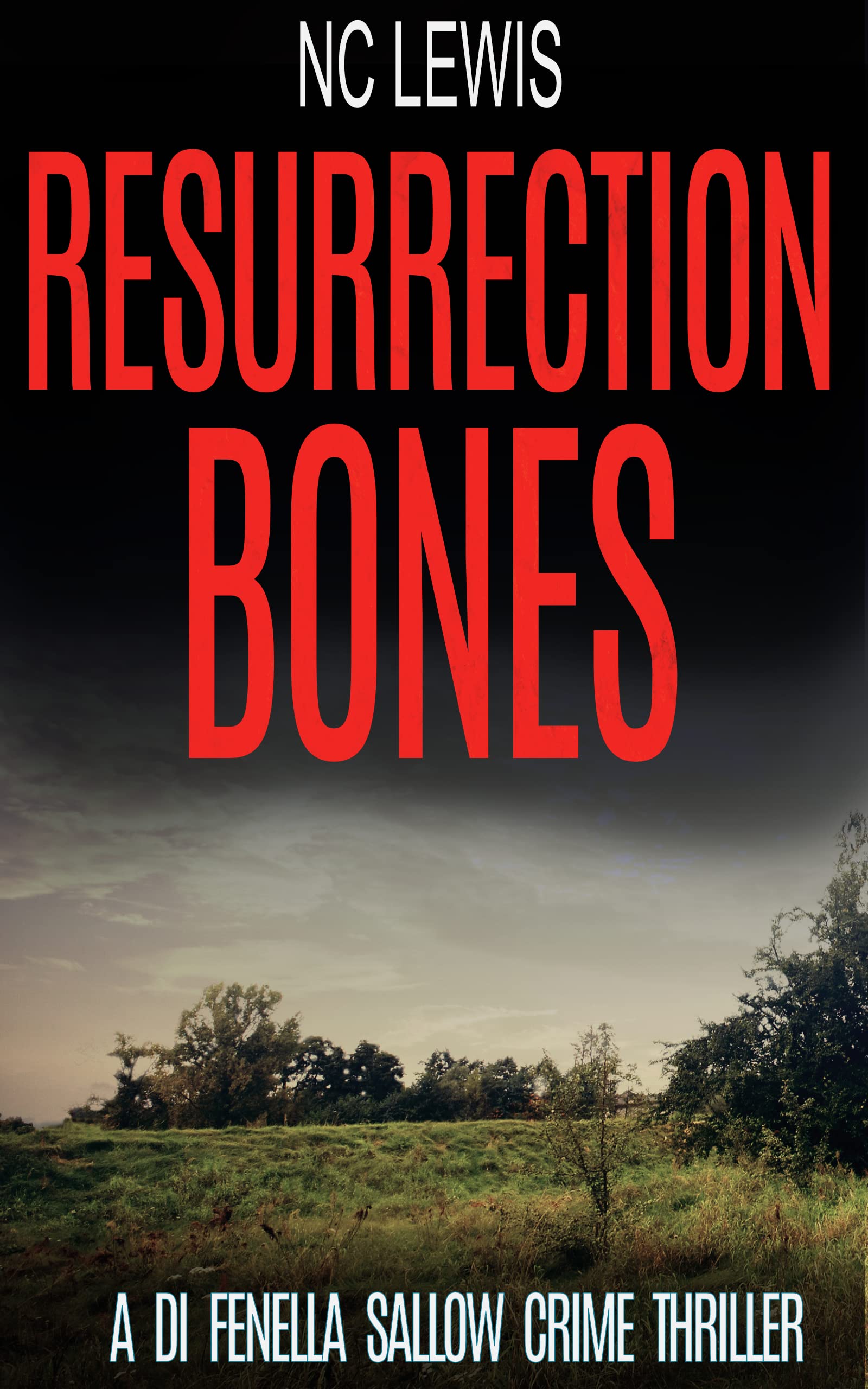 Resurrection Bones (A DI Fenella Sallow Crime Thriller Book 6)