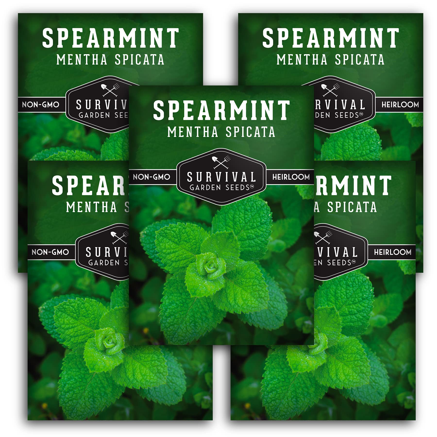 Spearmint Seeds for Planting - 5 Packs