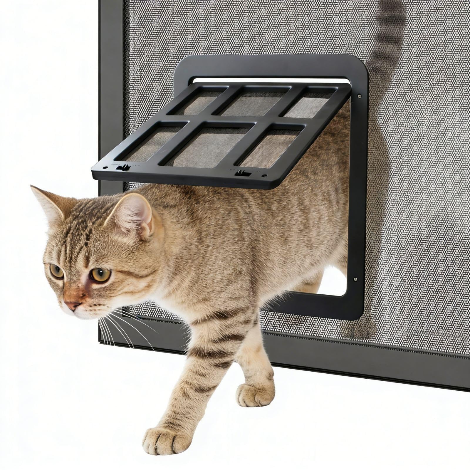 ENJOYING Gattaiola per Zanzariera, Dimensioni 25 x 31.5 cm, Facile da Installare, Porta Zanzariera PerGatti Cani Piccoli, Chiusura Magnetica Porta per Animale Domestico, Bloccabile, Nero
