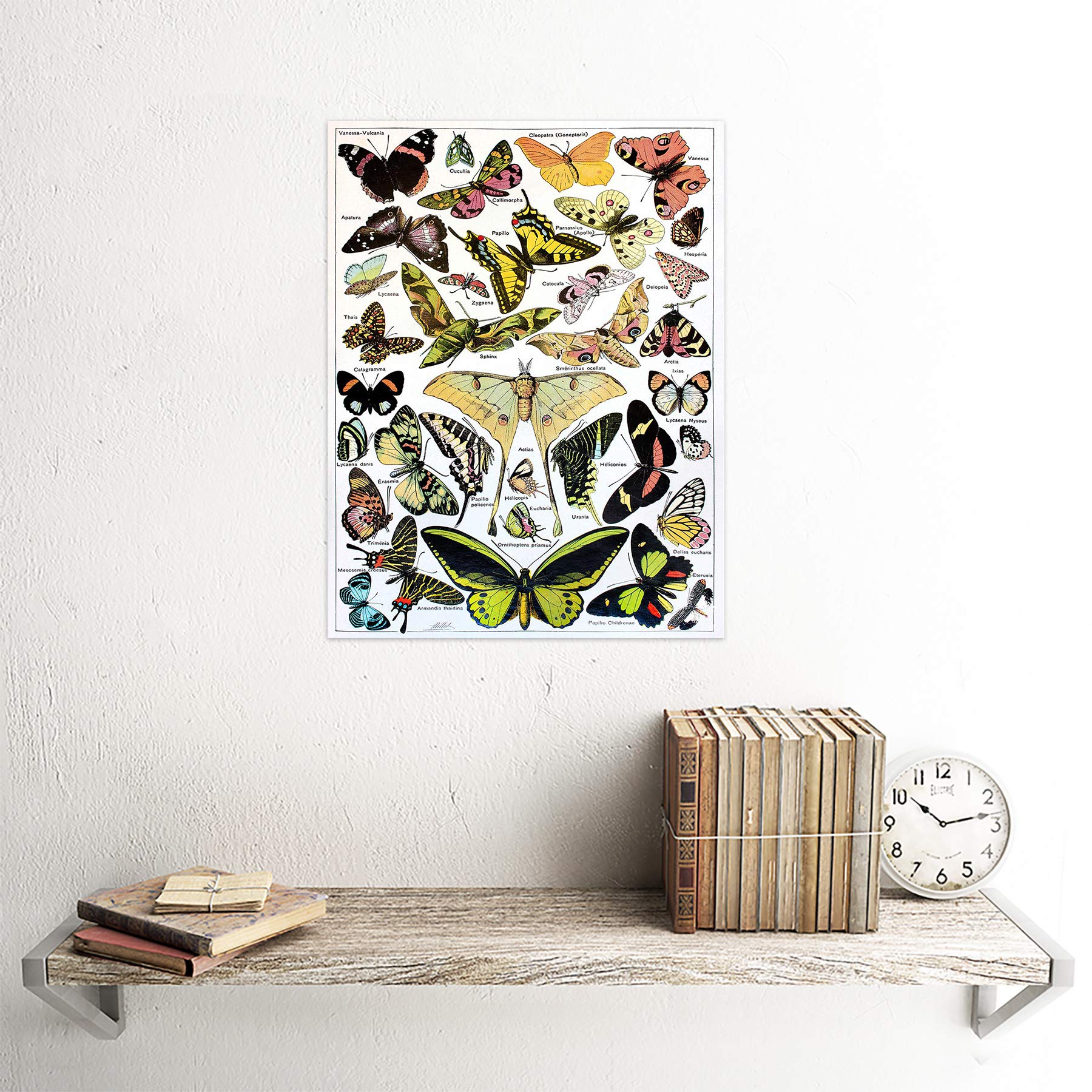 絵画 butterfly 71cyoErPrhL._AC_UF894,