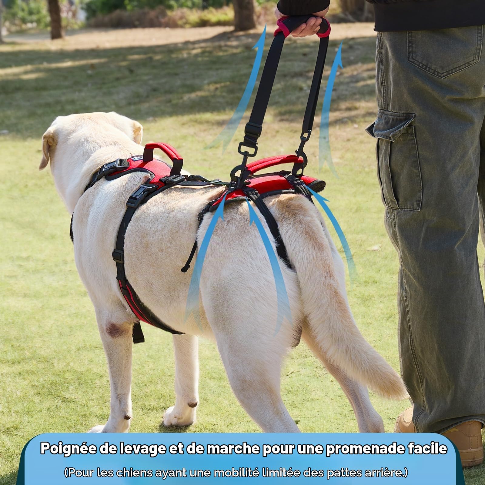 Harnais de Levage pour Grands Chiens, Harnais de Soutien Complet pour Escaliers et Faiblesse des Pattes Arrière, Aide à la Marche pour Chiens Seniors, Rouge, L