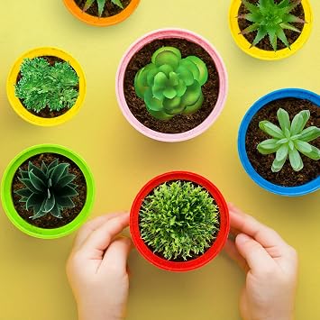 QUOZUO Green Succulent Plants, 6pcs Mini Fake Succulents Plants for DIY Home Floral Wall Office Decoration (excluding pots)