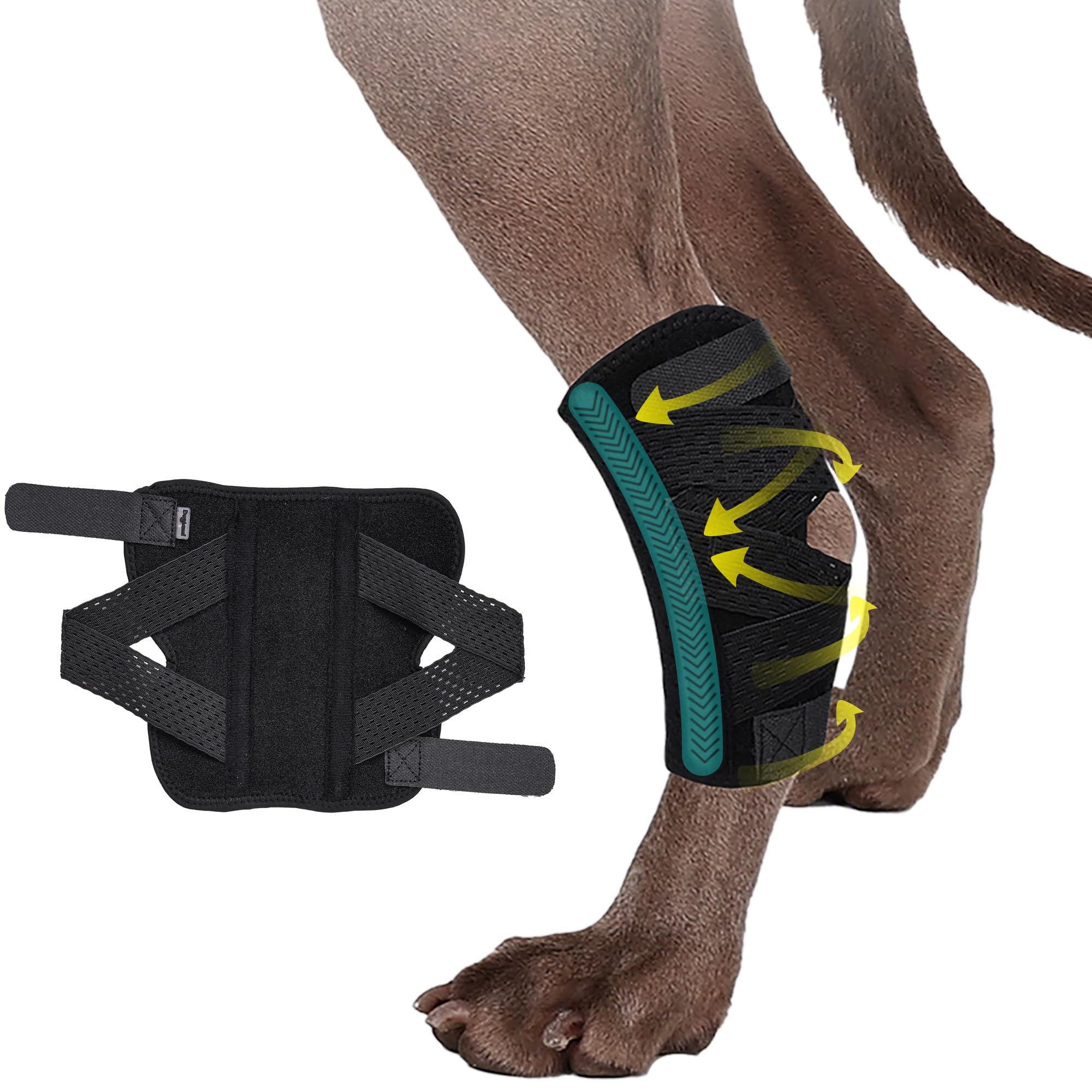 BT Bear Dog Leg Braces, Dog Hock Joint Brace with Two Metal Spring Inserts, Dog Hock Splint for Fractures, Wound Healing, Sprains and Canine Arthritis (S/M)