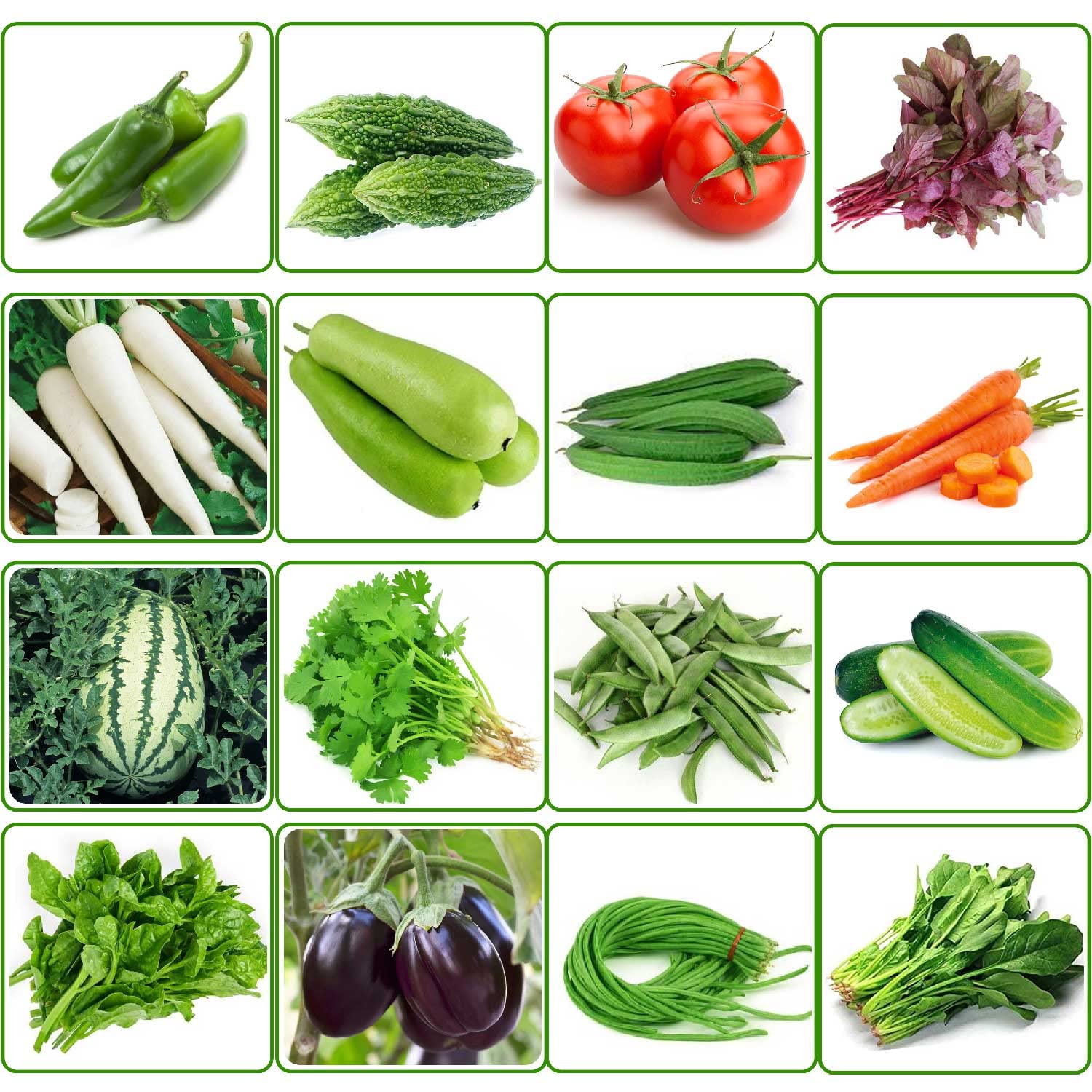 MATABE Vegetable Seeds Combo Pack - 16 Variety of Hybrid Vegetables Seed for Planting in Home, Garden & Terrace Pots (Pack of 2500+ Seeds) (B0B4X1ZW3M) Amazon Price History, Amazon Price Tracker