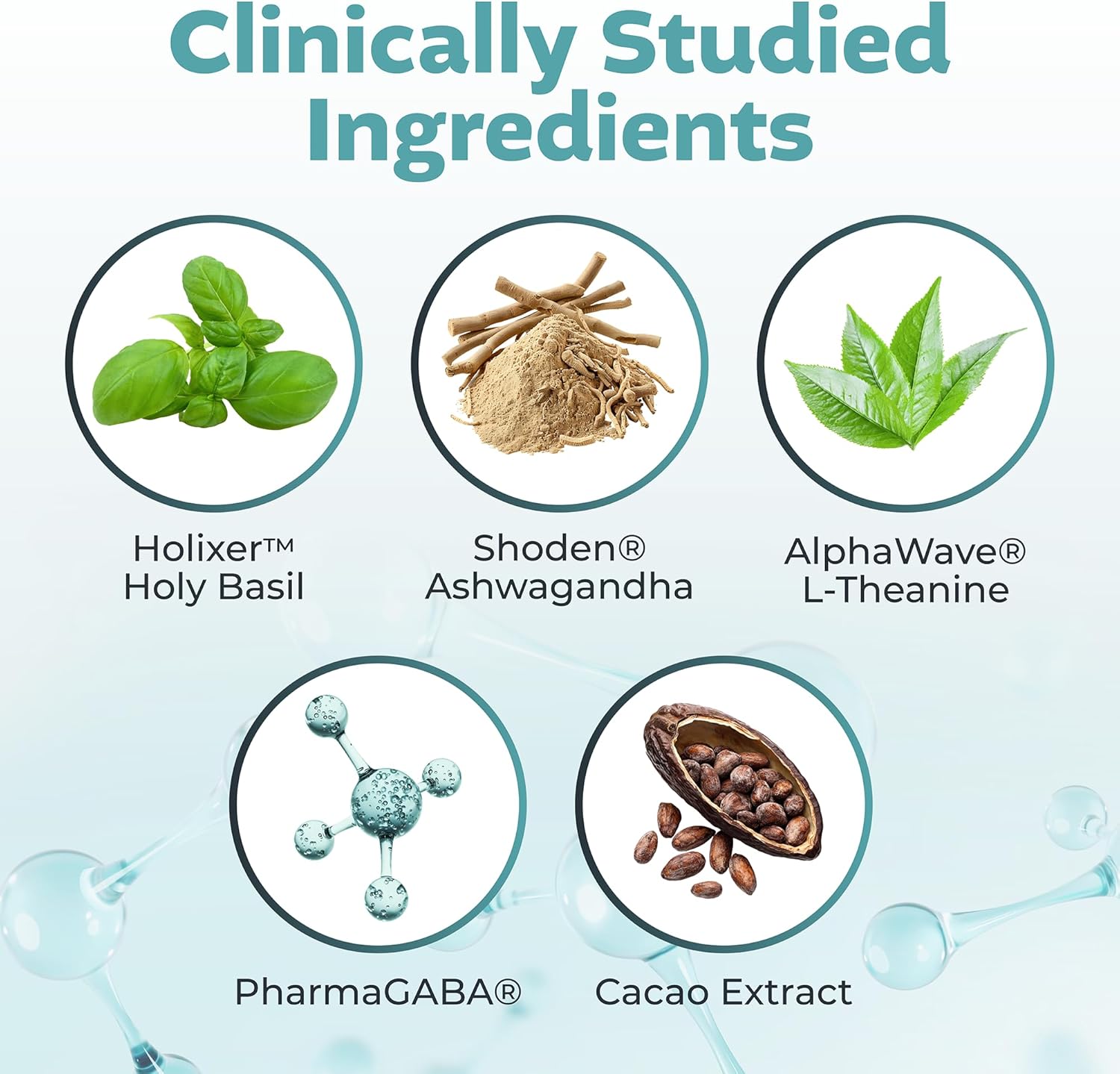 Advanced Stress Support – Holy Basil, Shoden® Ashwagandha, AlphaWave® L-Theanine, PharmaGABA®, Cacao Theobromine – Calm & Clarity Formula – Vegan, Non-GMO, Gluten-Free – 60 Capsules