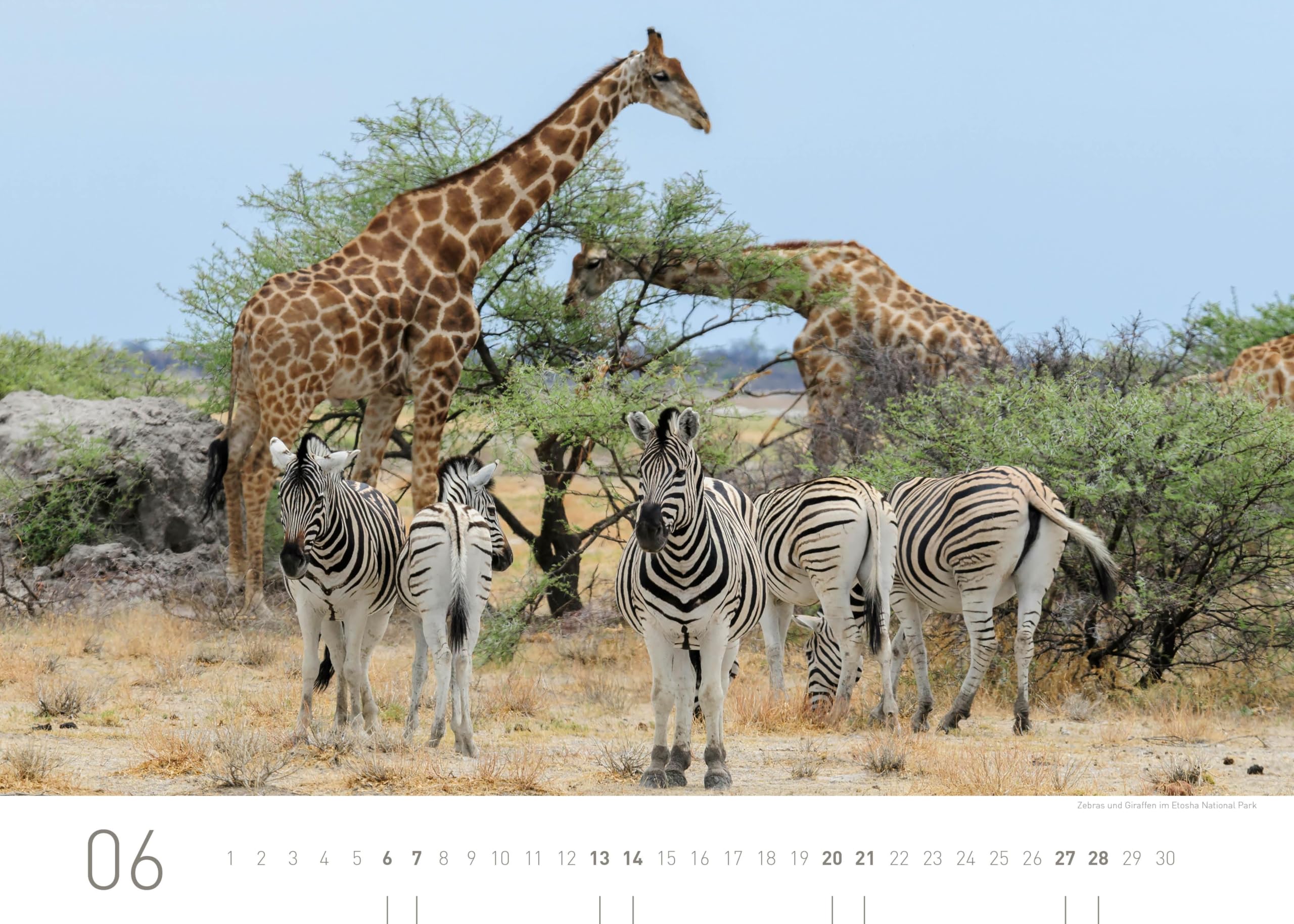 Namibia Exklusivkalender 2026 (360° Exklusivkalender 2026: Limited Edition (70 x 50 cm))