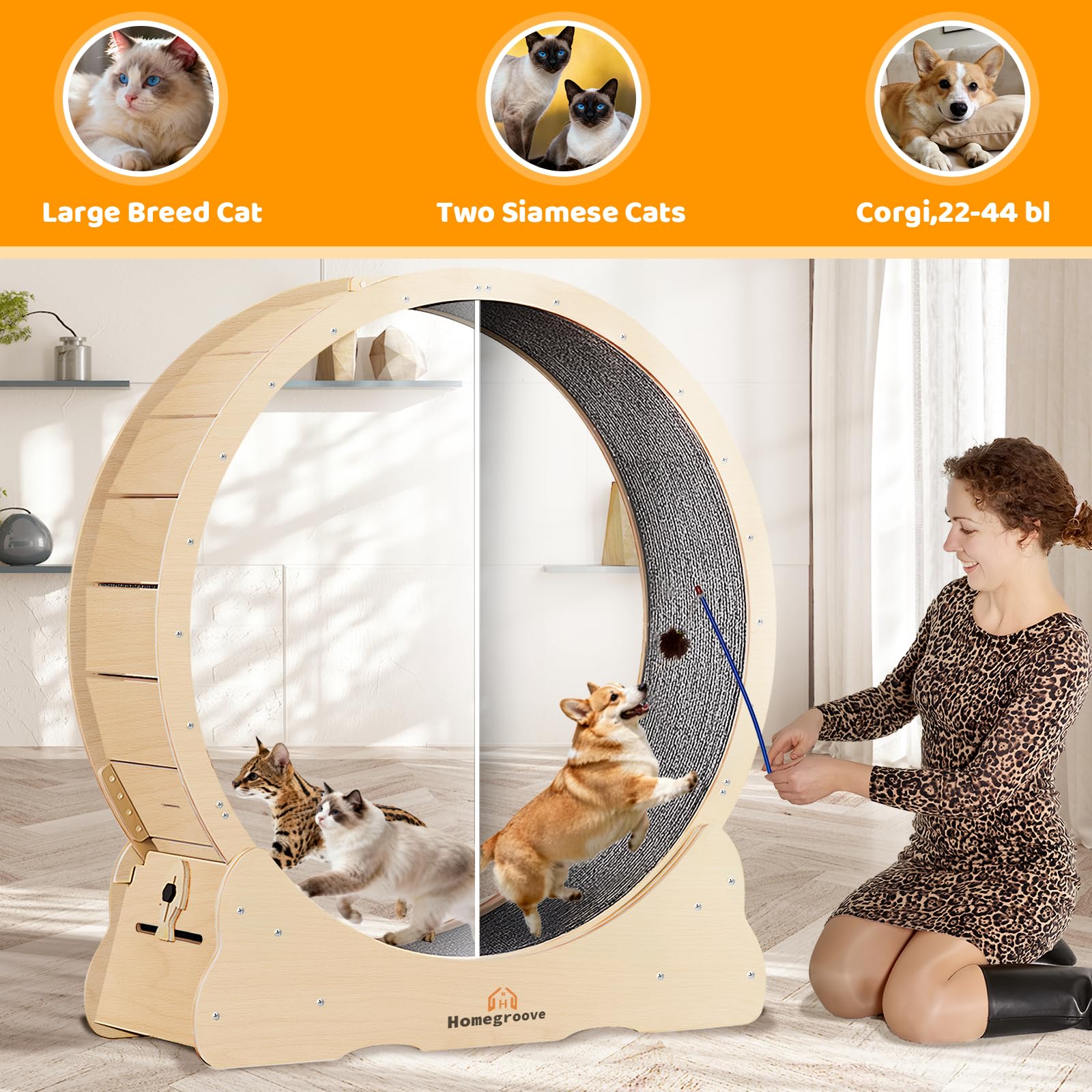 Homegroove Ruota per esercizi per gatti XXL, 132 cm, in legno massello, con blocco di sicurezza integrato, design di allineamento della colonna vertebrale, per interni di grandi dimensioni (XXL, legno