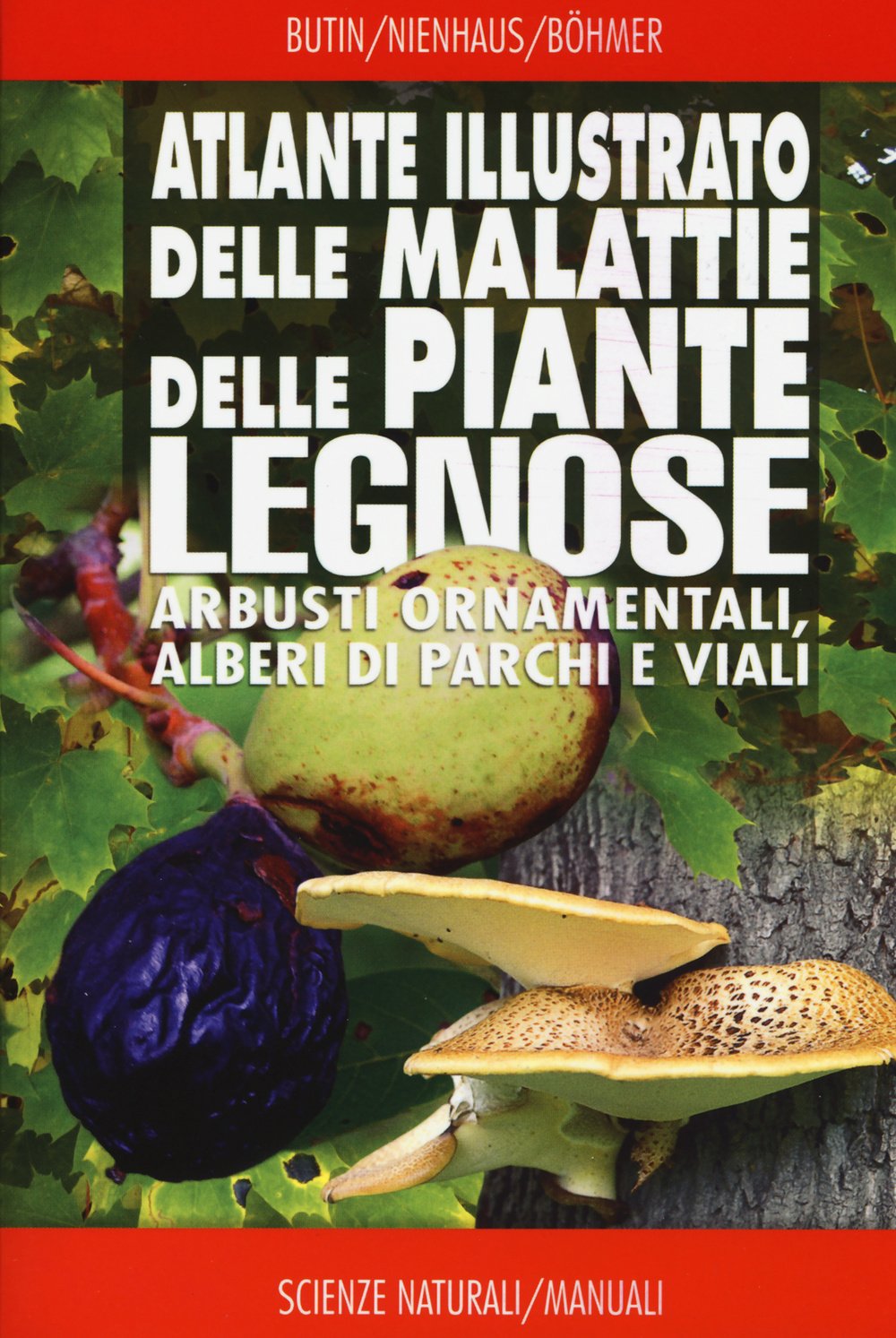 Atlante Illustrato Delle Malattie Delle Piante Legnose. Arbusti Ornamentali, Alberi Di Parchi E Viali - 4