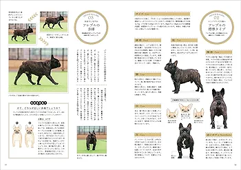 愛犬の友 2018年 5月号 [雑誌] |本 | 通販 | Amazon