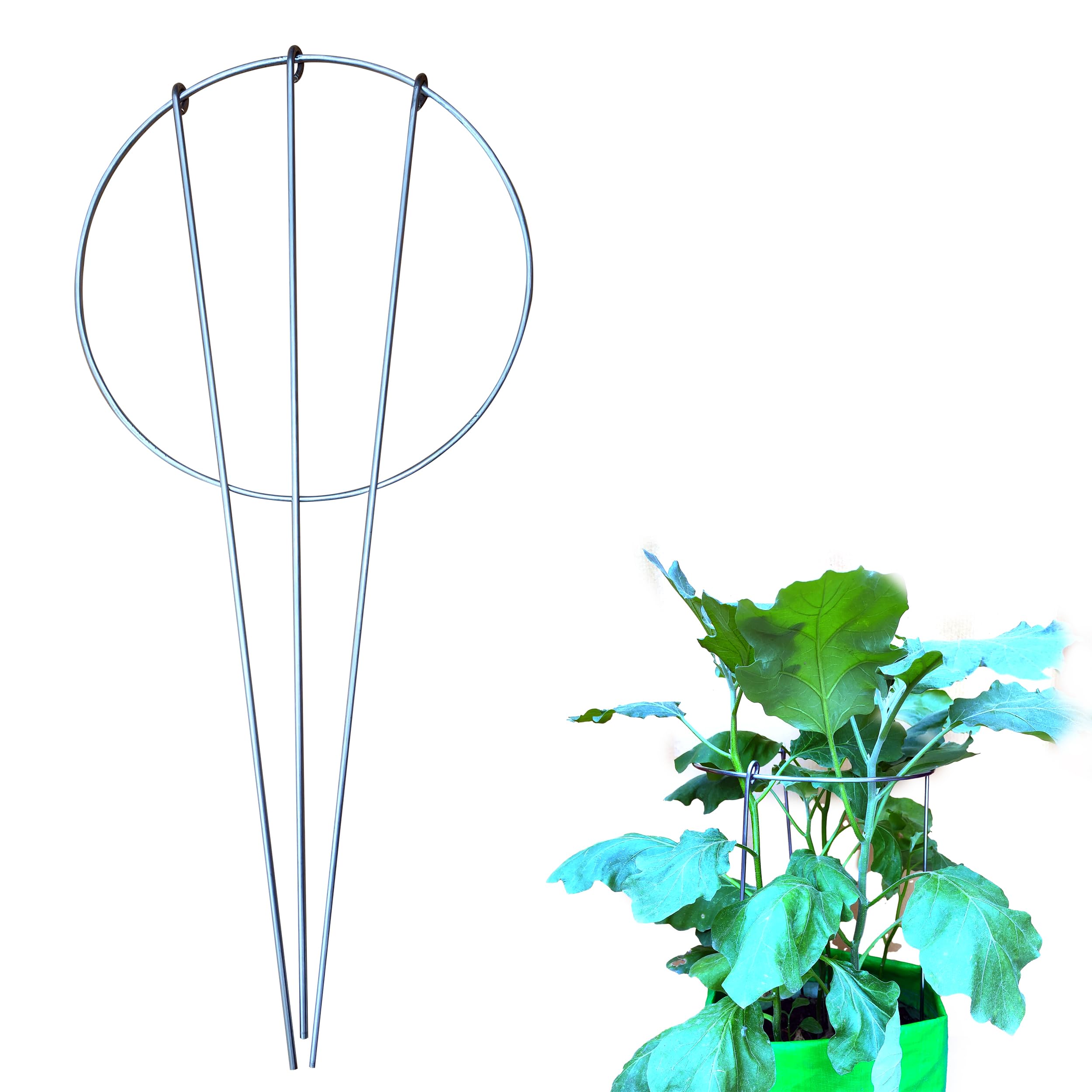 See full amazon price history chart for BnoSpace Plant Support Stakes: Garden Stem Stand for Pots, Plants | Amaryllis Pot Rings Stick for Tomato, Orchid, Lily, Peony, Rose Flower | Stainless Steel 46cm Long - Pack of 1 (Plant Support Round) BnoSpace Plant Support Stakes: Garden Stem Stand for Pots, Plants | Amaryllis Pot Rings Stick for Tomato, Orchid, Lily, Peony, Rose Flower | Stainless Steel 46cm Long - Pack of 1 (Plant Support Round) (B09DGTDY4V) Amazon Price History, Amazon Price Tracker