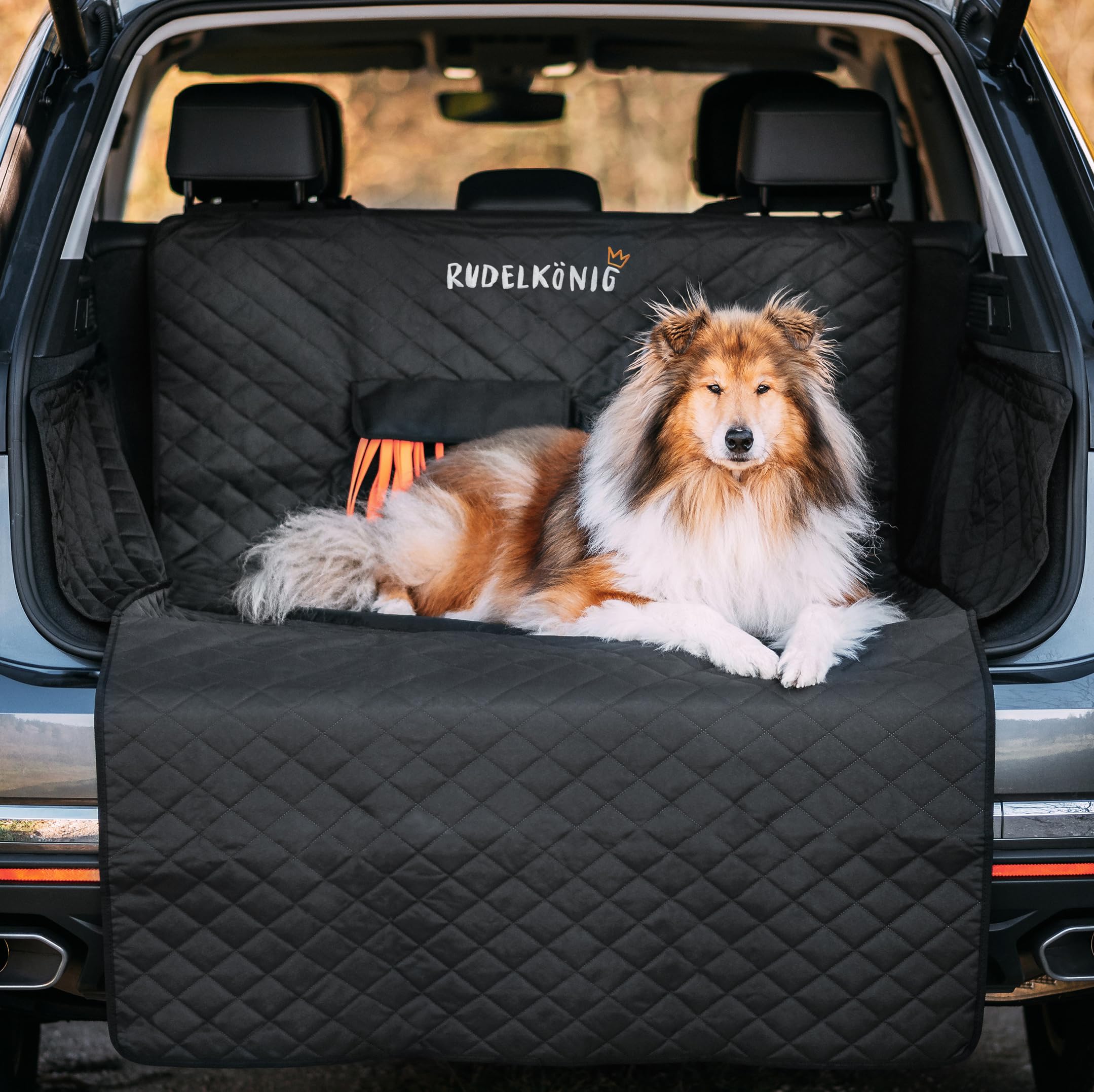 Copertura protettiva per bagagliaio auto per cani con protezione