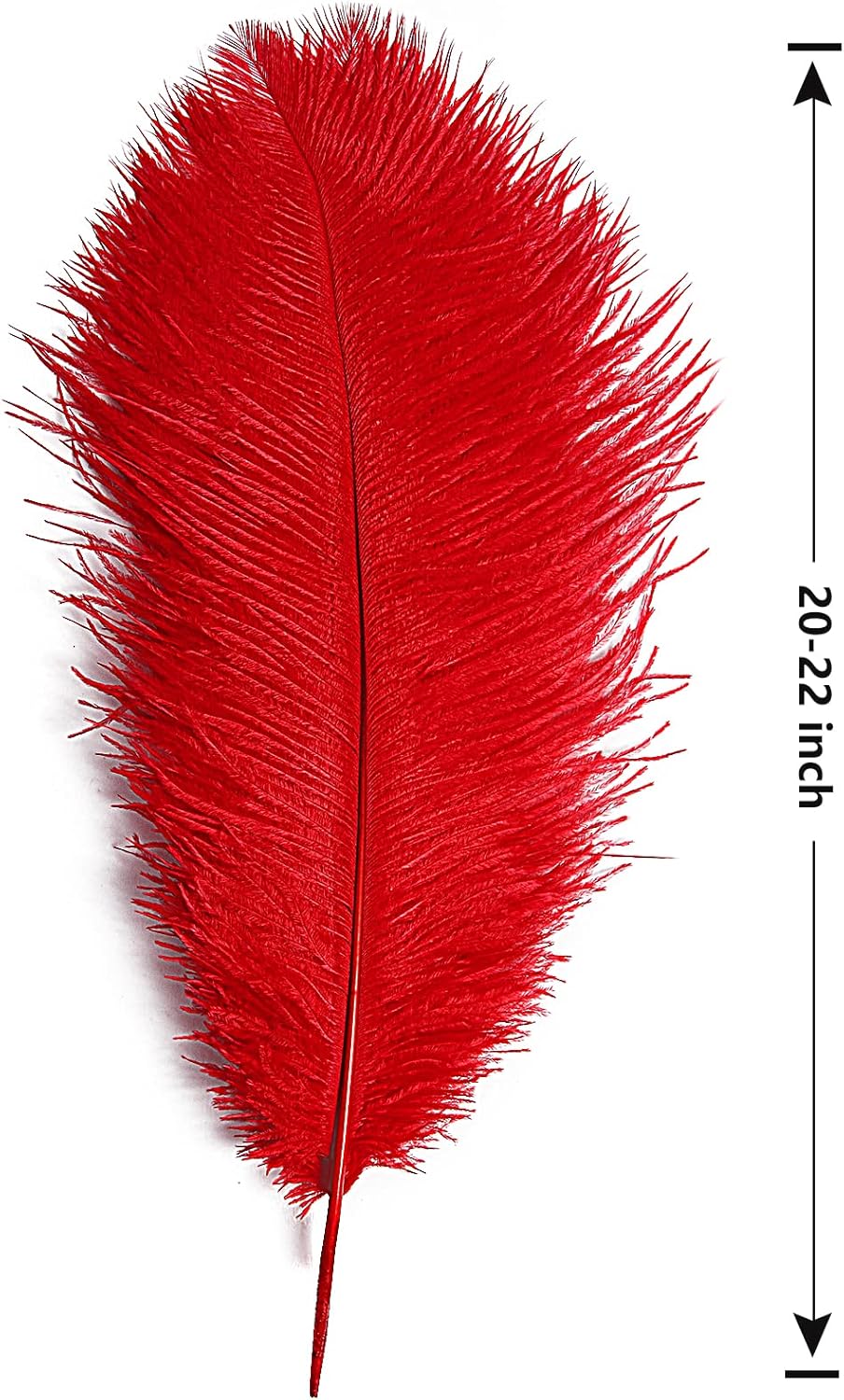 THARAHT Red Ostrich Feathers 12pcs Large Natural Bulk 20-22Inch 50cm-55cm for Wedding Party Centerpieces Halloween and Home Decoration Feathers