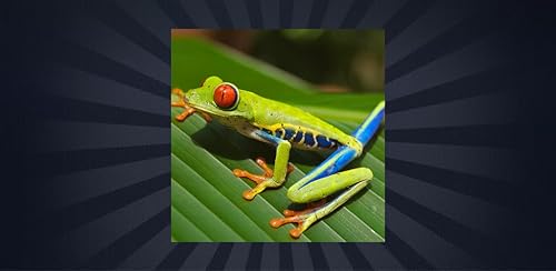 Quiz de curiosidades de espécies de anfíbios
