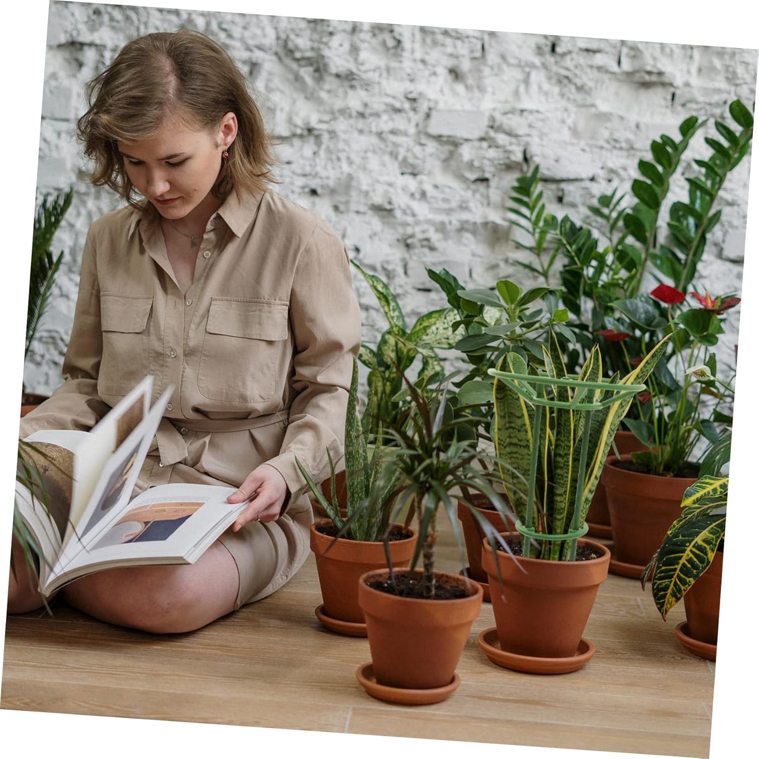 BESPORTBLE 3 Sets Plant Climbing Trellis Tomatoes Cages for Garden Plant Climbing Stand Flower Protection Rack Garden Climbing Trellis Garden Climbing Frame Plant Climbing Support