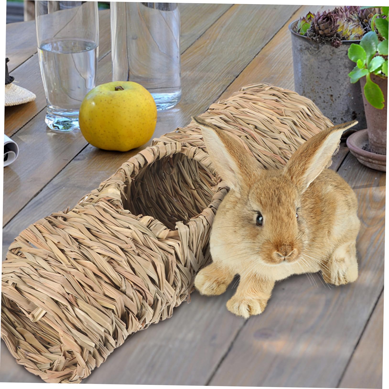 COLLBATH Hand Woven Hamster Tunnel Multi Guinea Pig Straw Hideaway for Pets for Hamsters Chinchillas and Gerbils Smooth Finish Easy to Clean