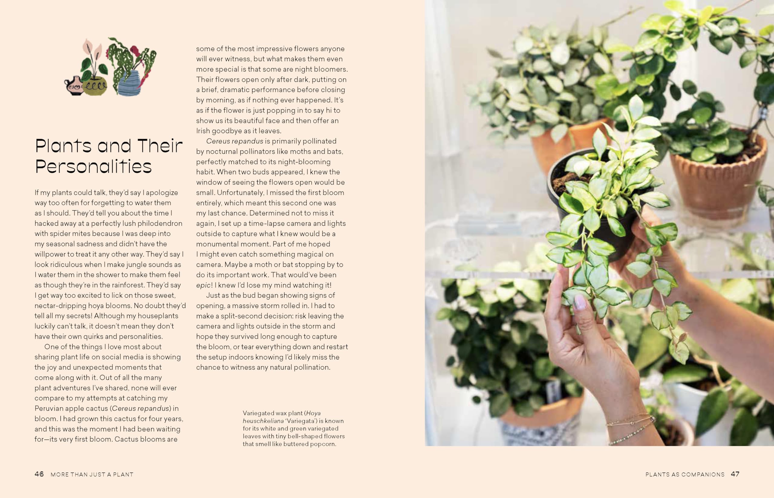 More Than Just a Plant: How to Care for Your Plants as They Care for You