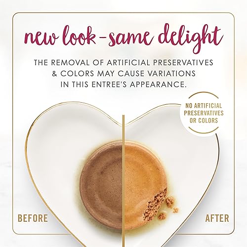 Miniatura 2 de Purina Fancy Feast Chicken Feast - Alimento húmedo en paté alto en proteínas para gatos mayores de 7 años, 24 latas de 3 onzas