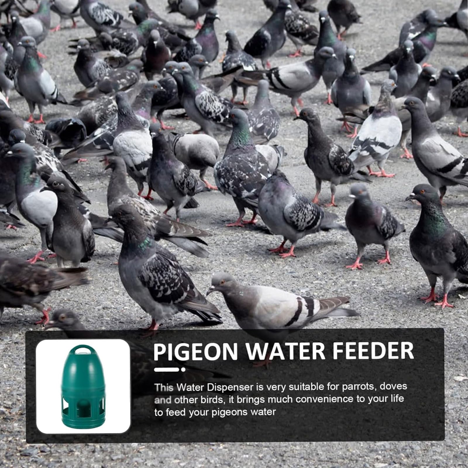Alimentatori Mangiatoie per Uccelli sospese Mangiatoie per Uccelli da Esterno in plastica Verde Fontanella per Uccelli di Grande capacità per Giardino, Cortile, terrazza Vogelvoeders